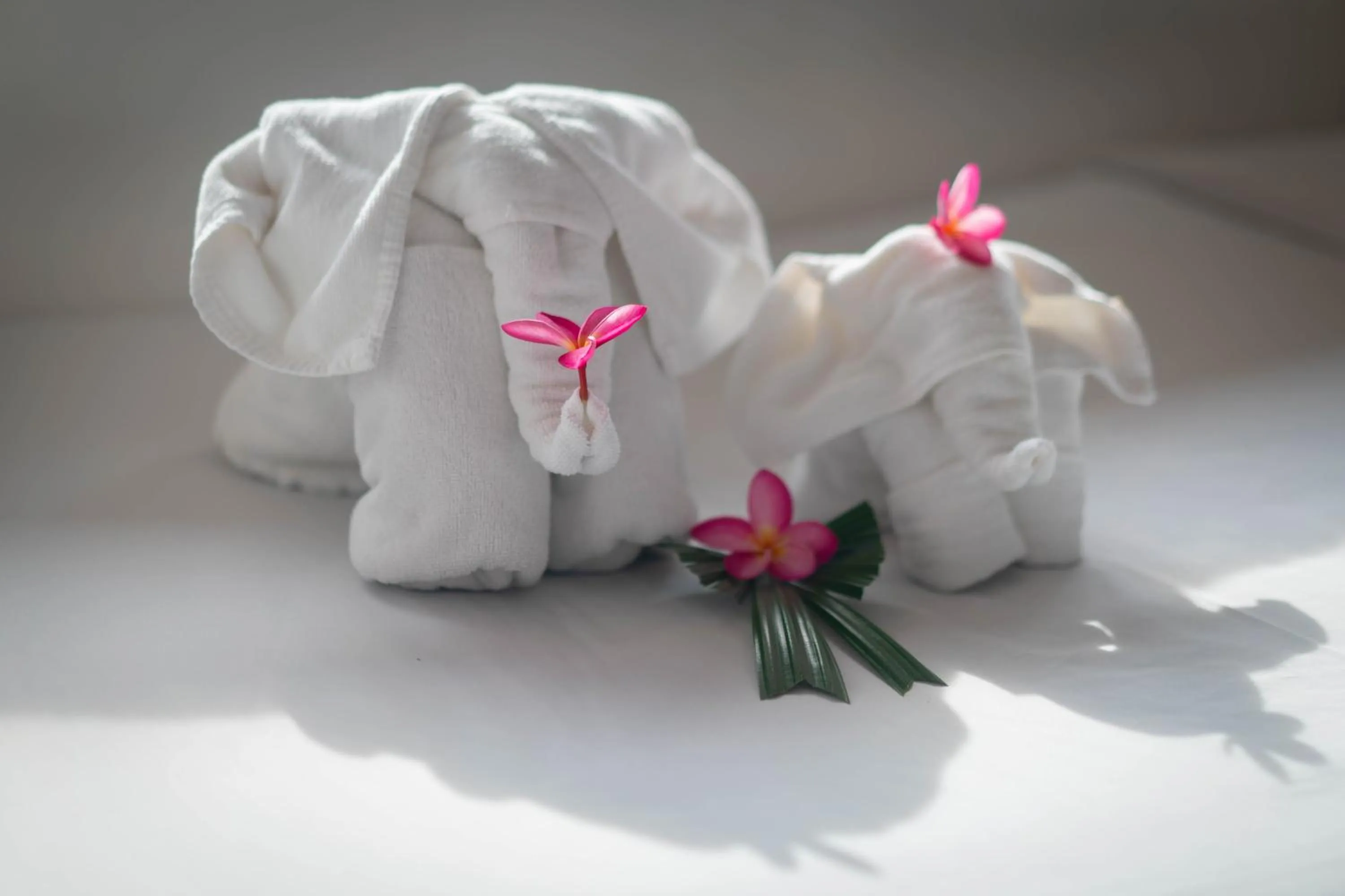 towels in Peach Blossom Resort & Pool Villa - SHA Plus
