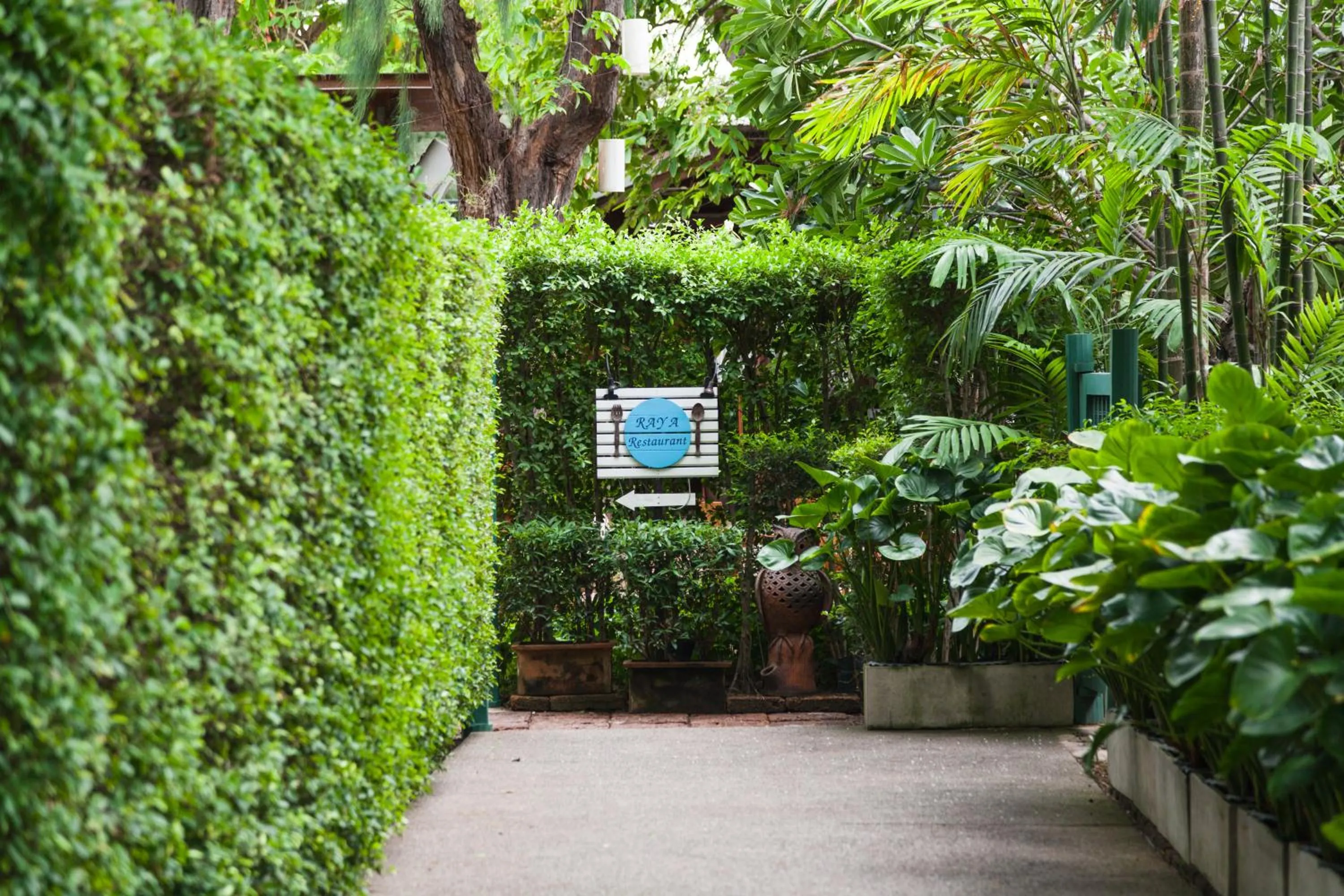 Restaurant/places to eat in Raya Resort Beach front - The Most Green Resort in Cha-am