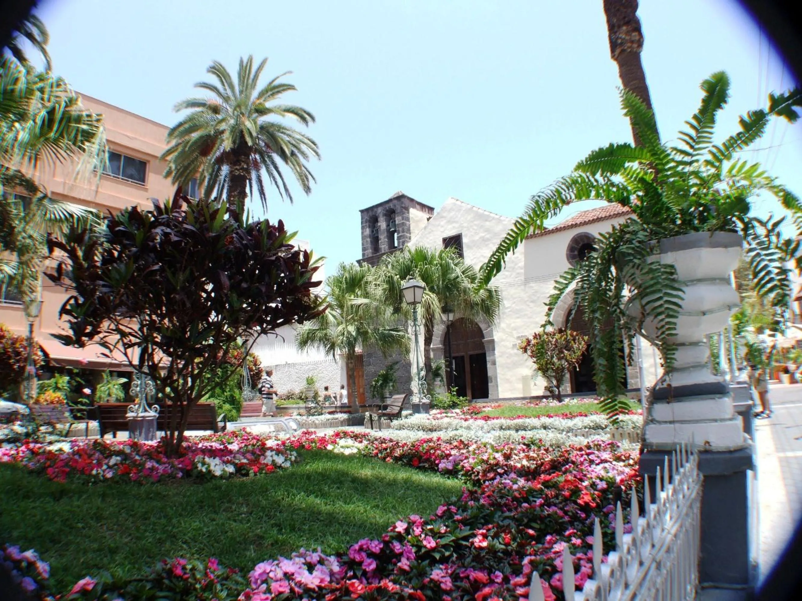 Area and facilities in Hotel Marquesa