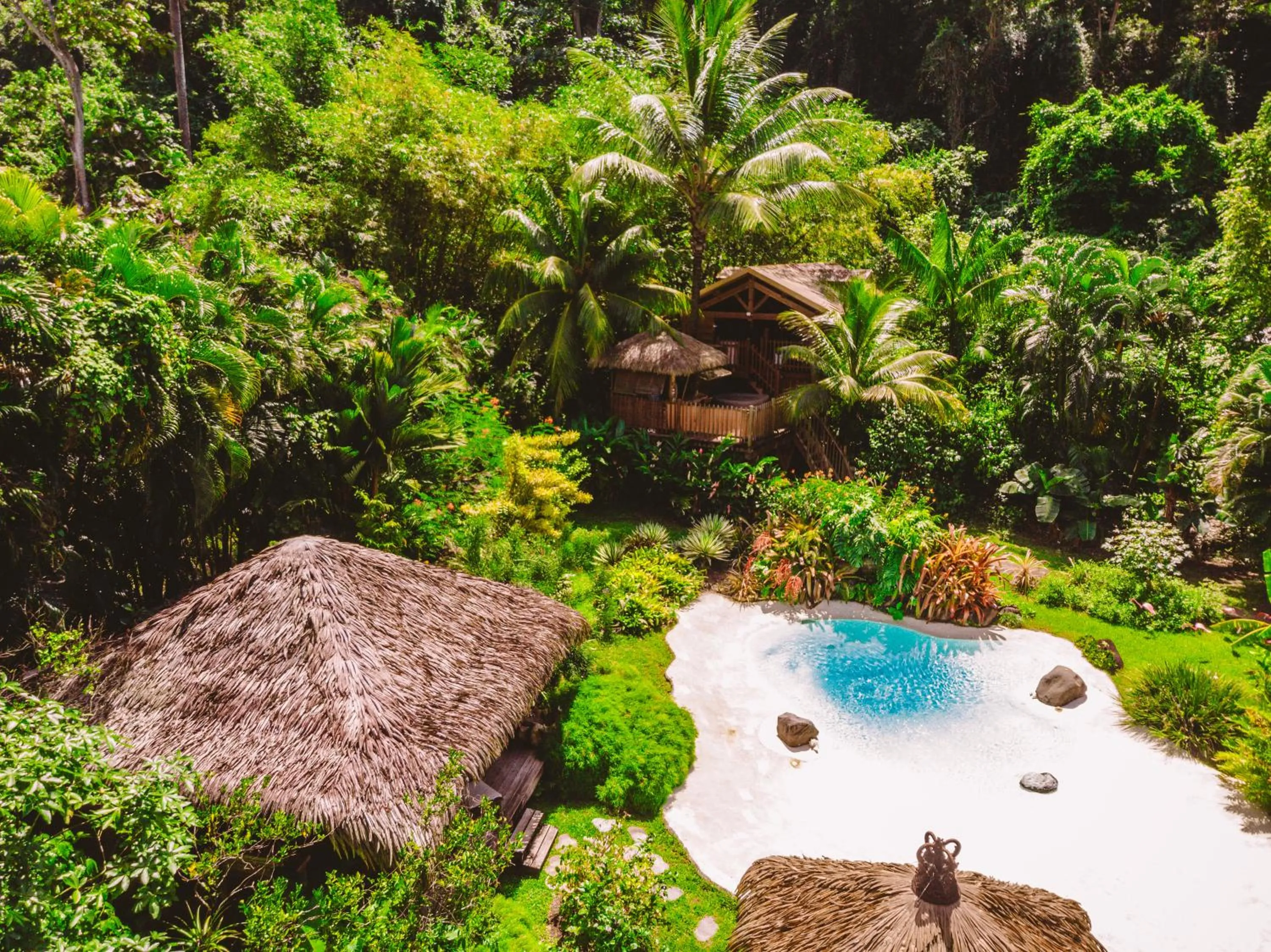 West Indies Cottage, cottages haut de gamme avec piscine, jacuzzi et vue jungle