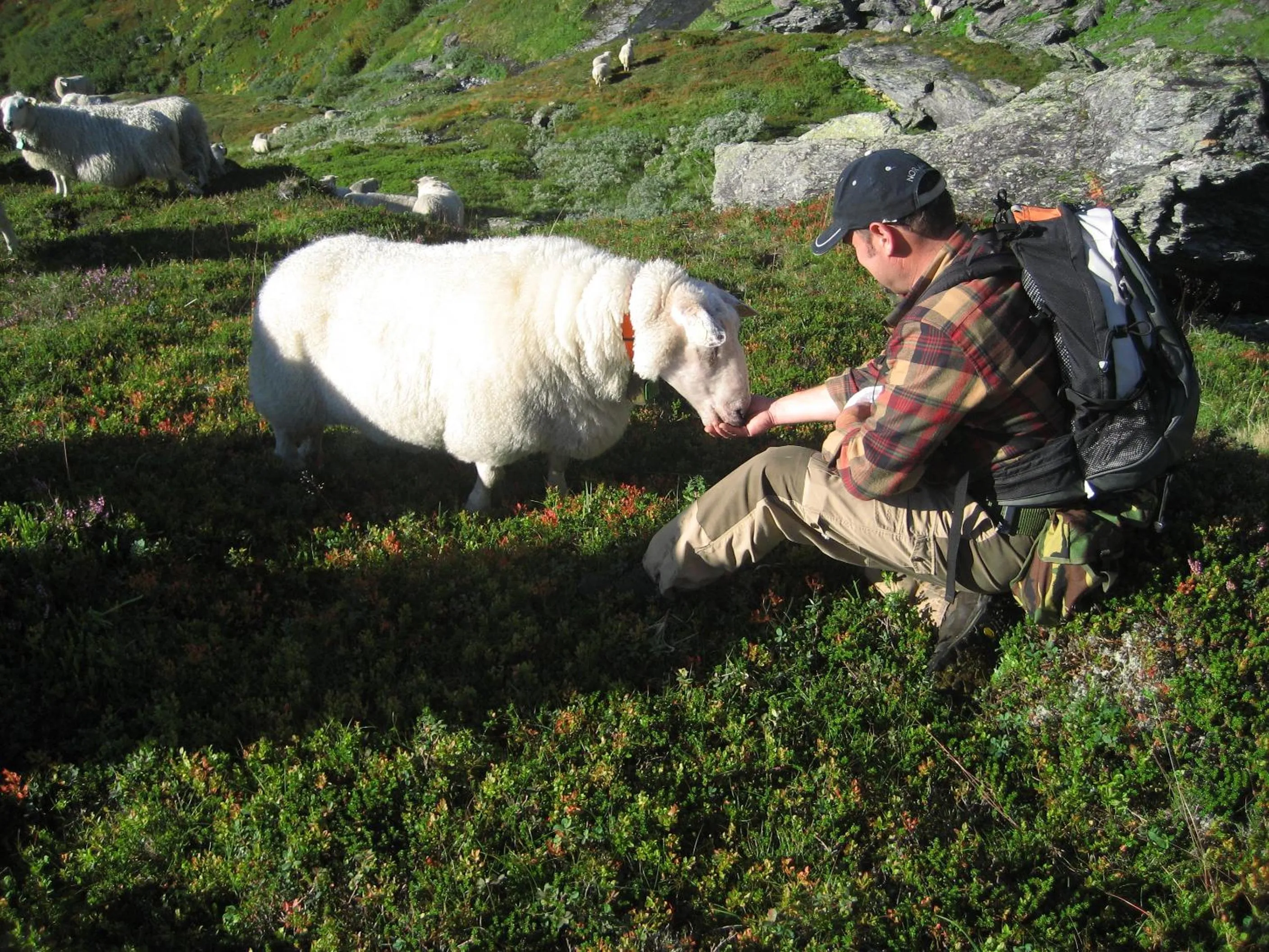 Natural landscape in Strand Fjordhotel