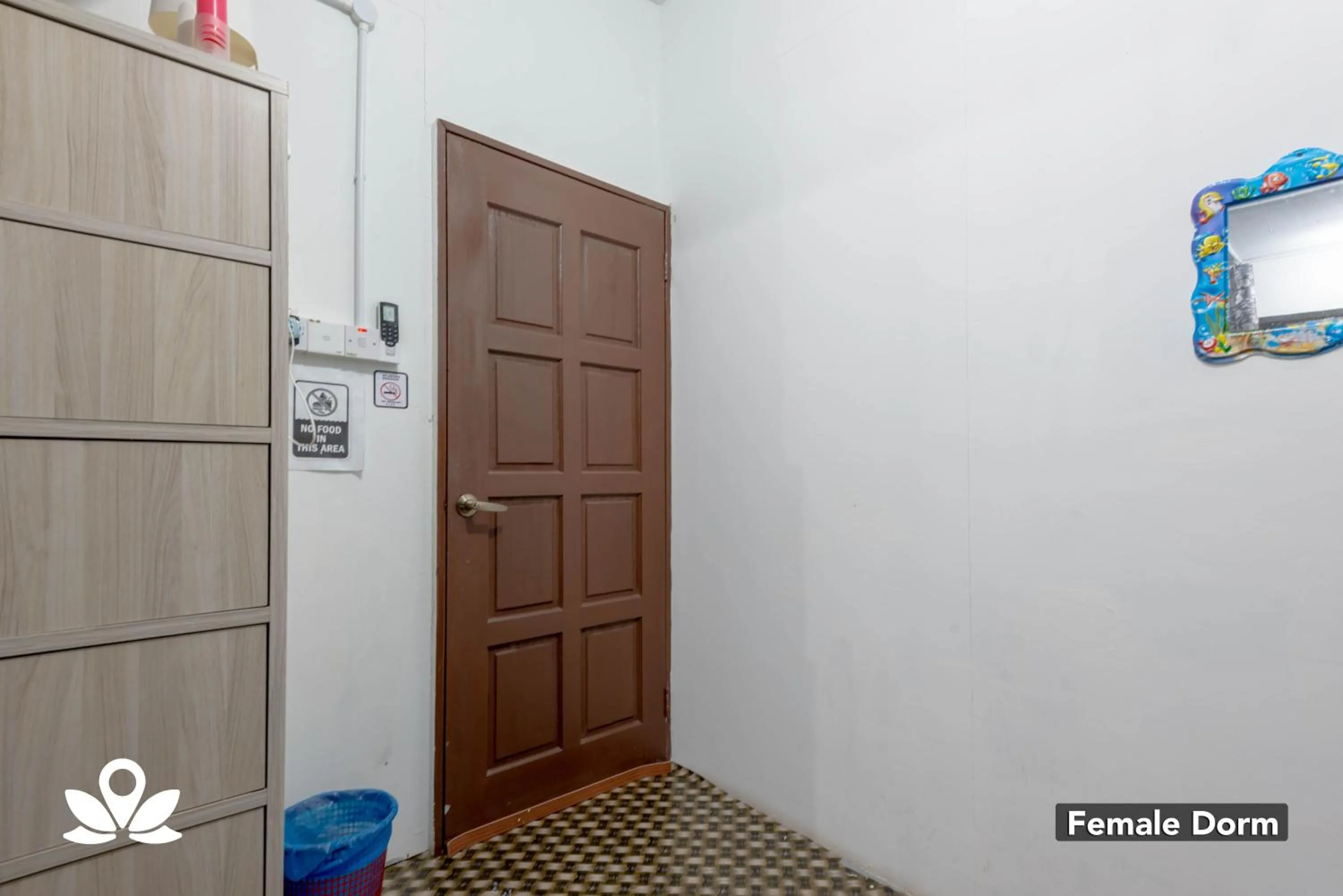 Photo of the whole room in Island Backpackers