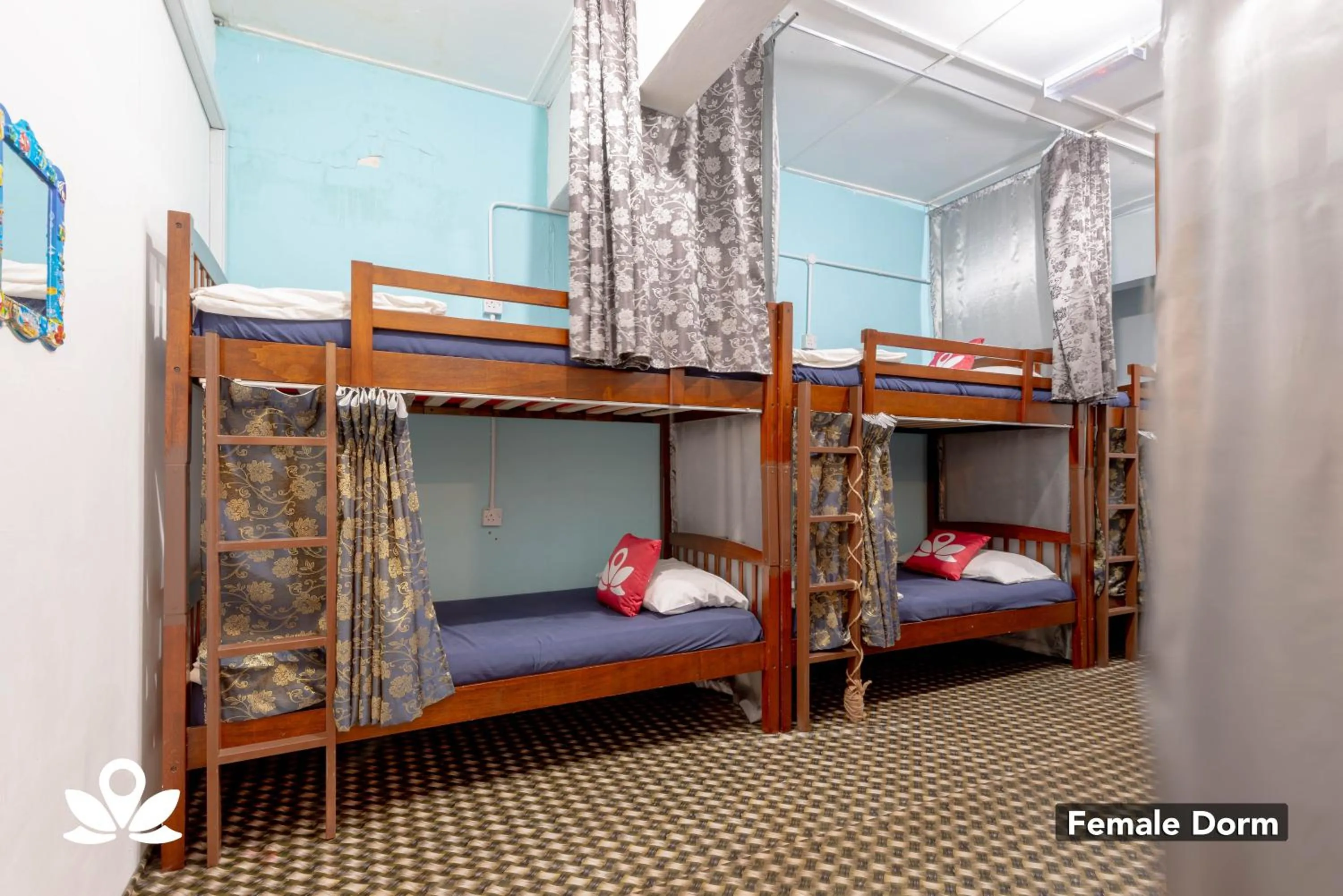bunk bed, Bed in Island Backpackers