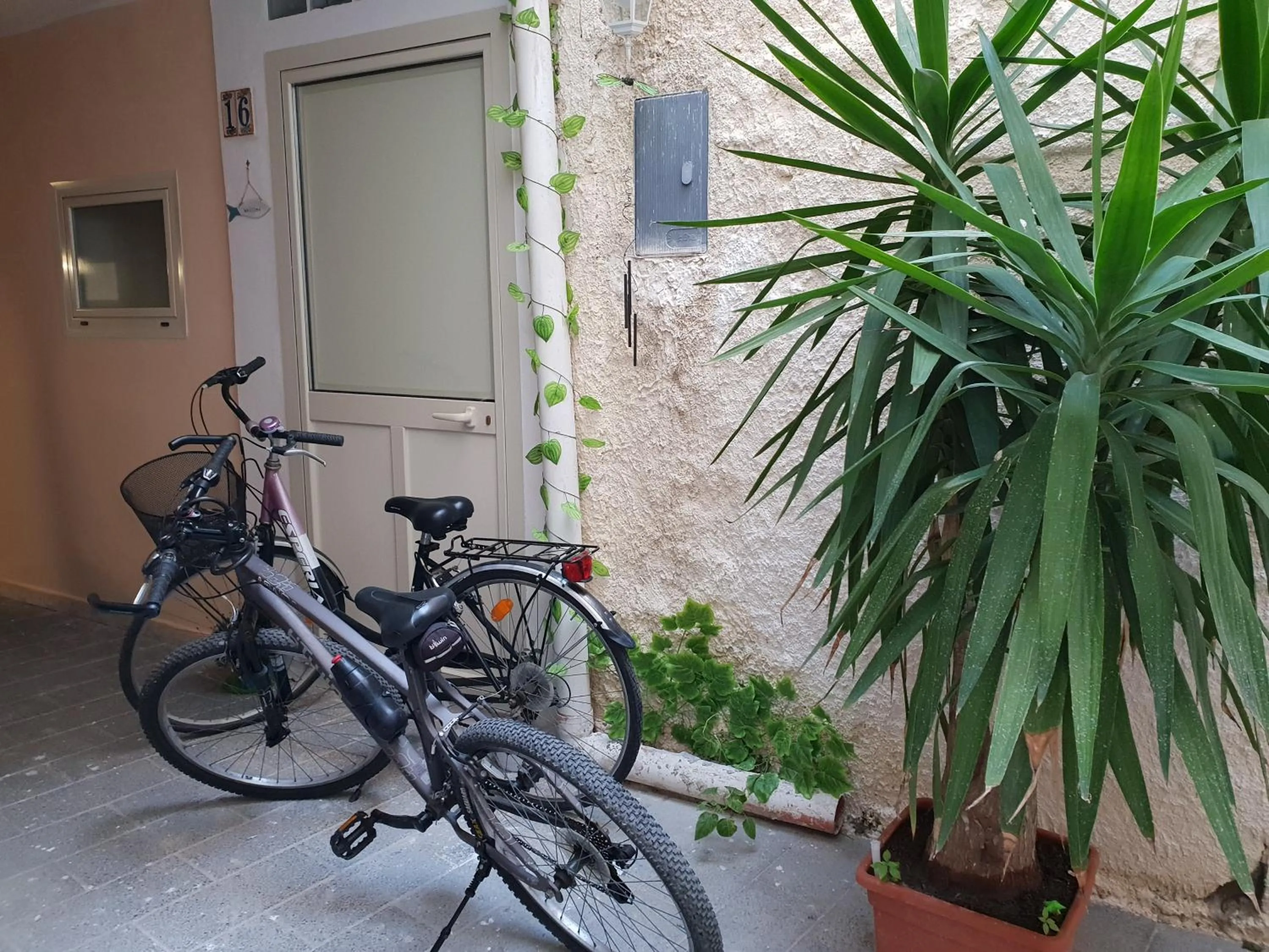 Vacation Home in Room Calafatari