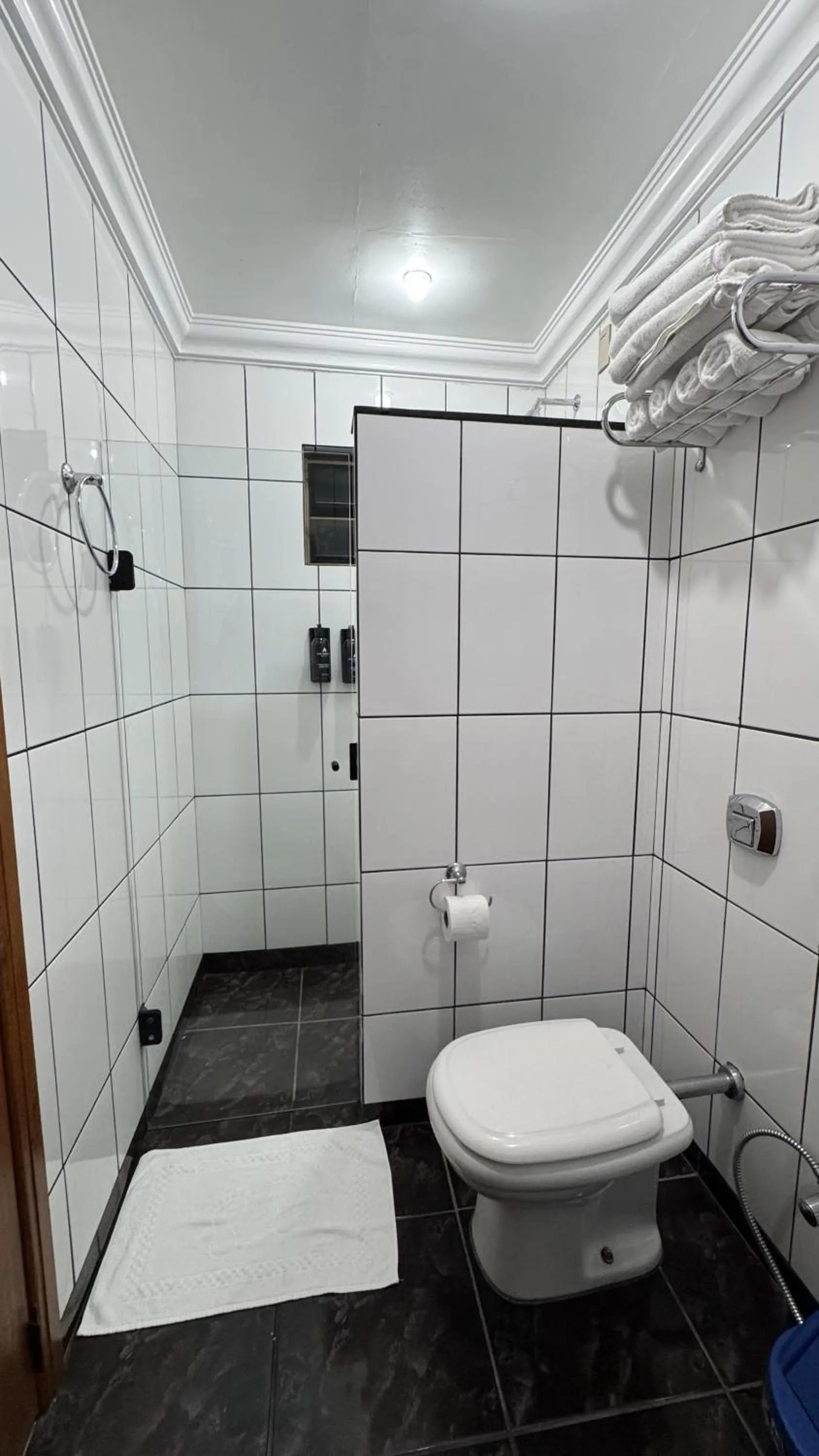 Shower in Hotel das Américas