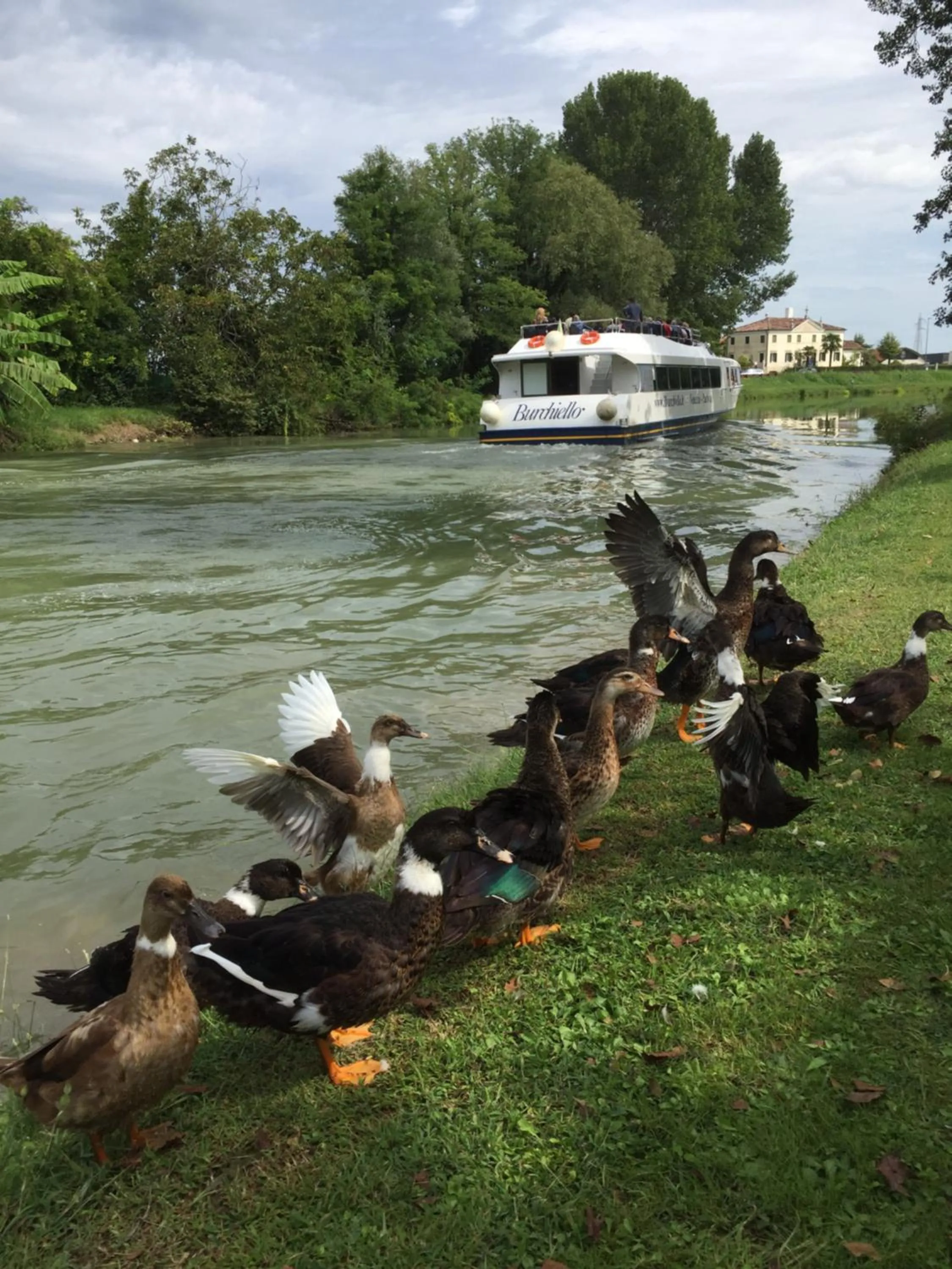 Garden in Dimora Naviglio