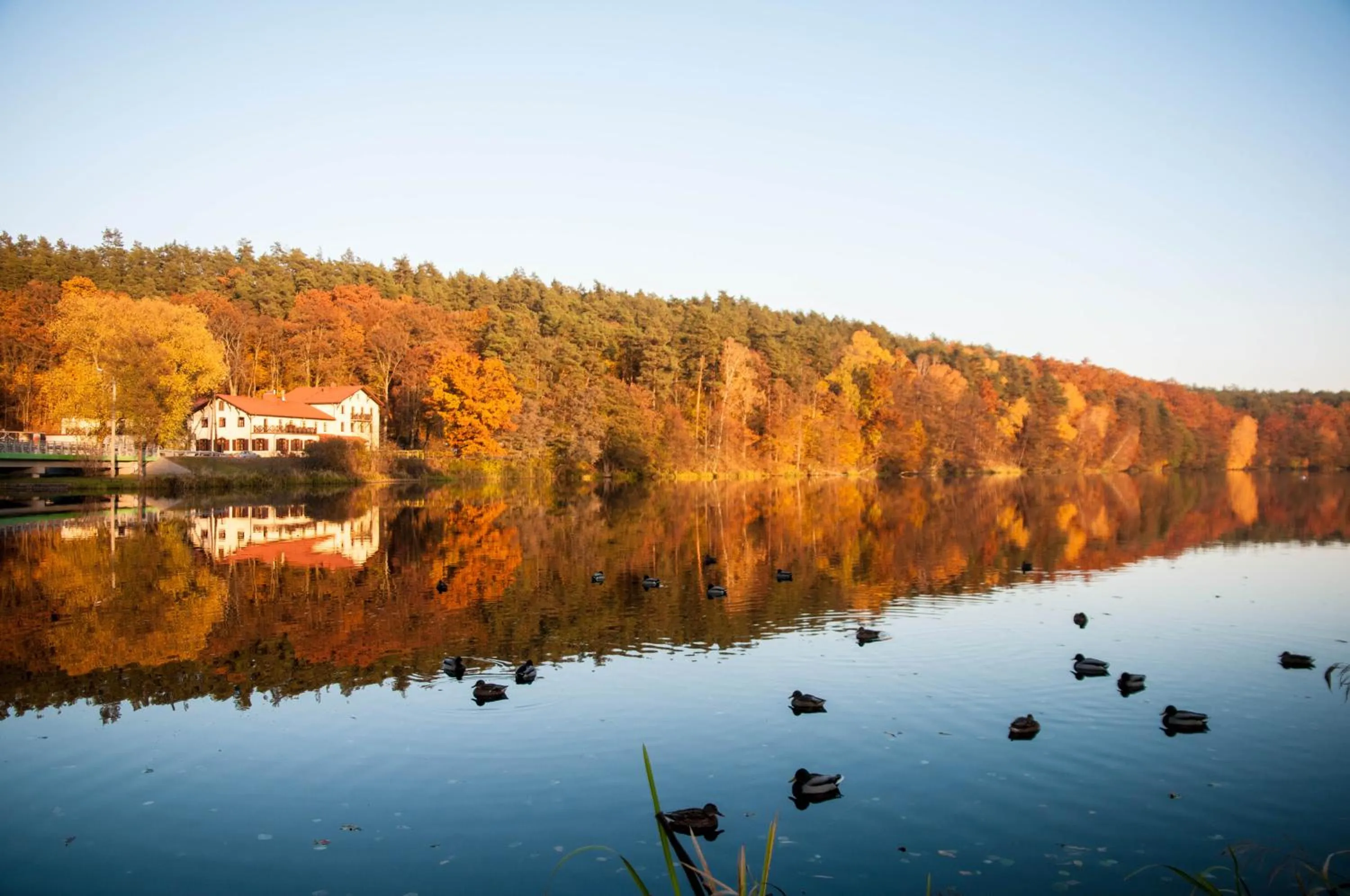 Lake view in Przystanek Tleń