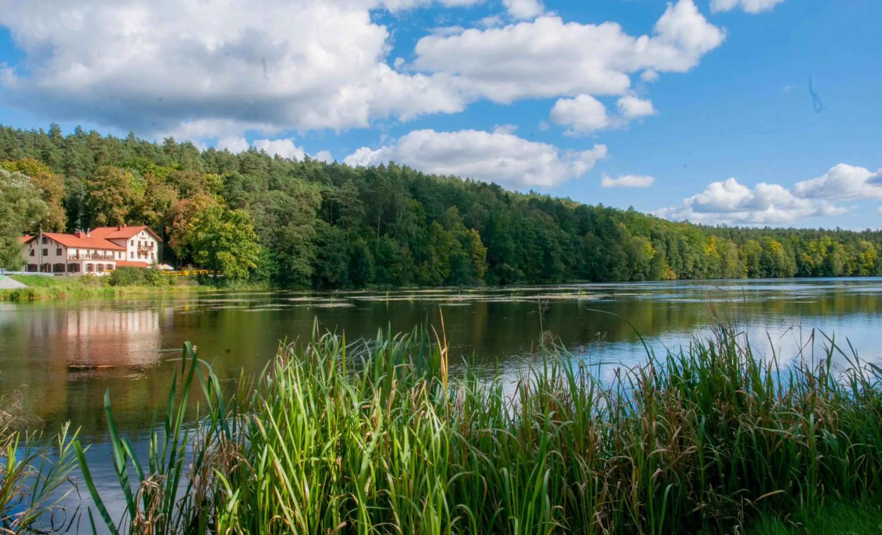 Natural landscape in Przystanek Tleń