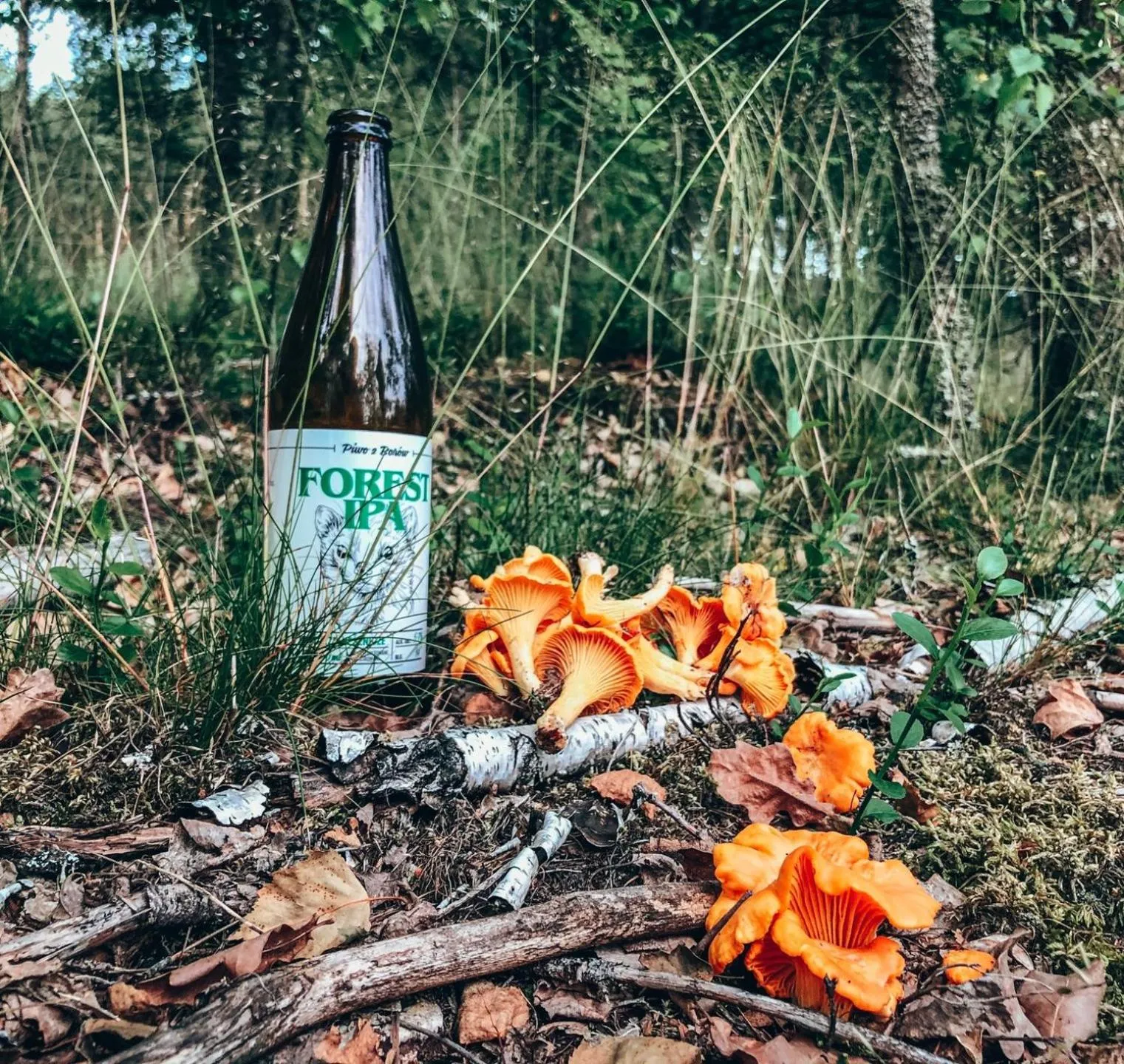 Off site in Przystanek Tleń