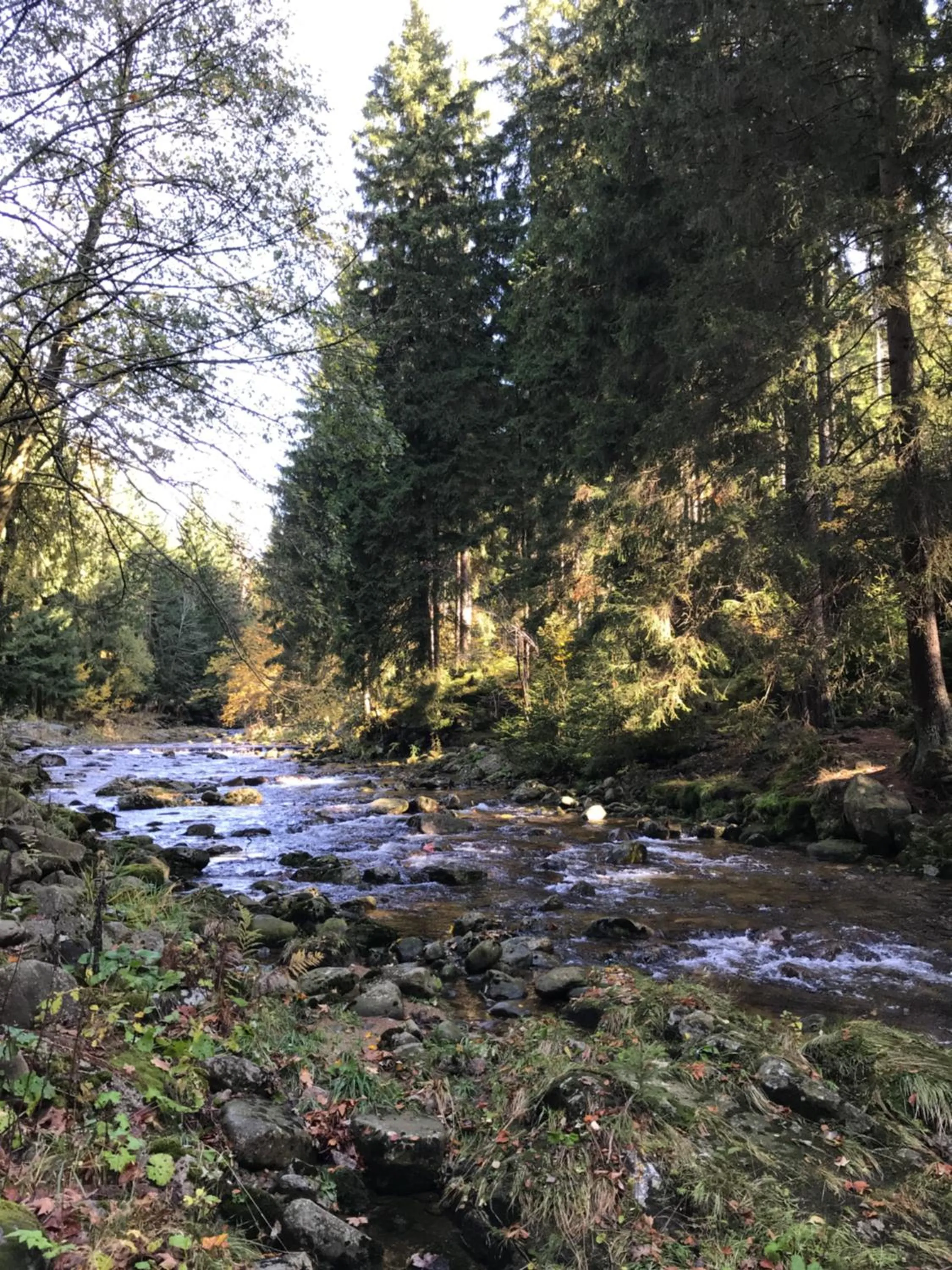Harrachov 571