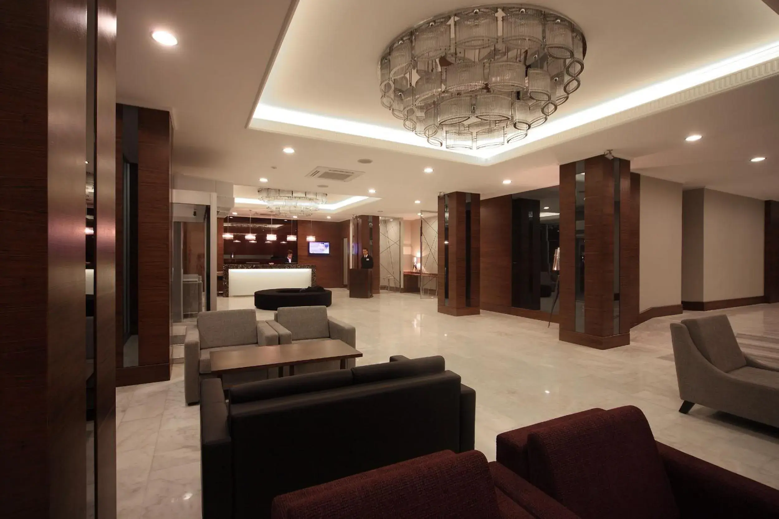 Living room in Eyuboglu Hotel Living room in Eyuboglu Hotel