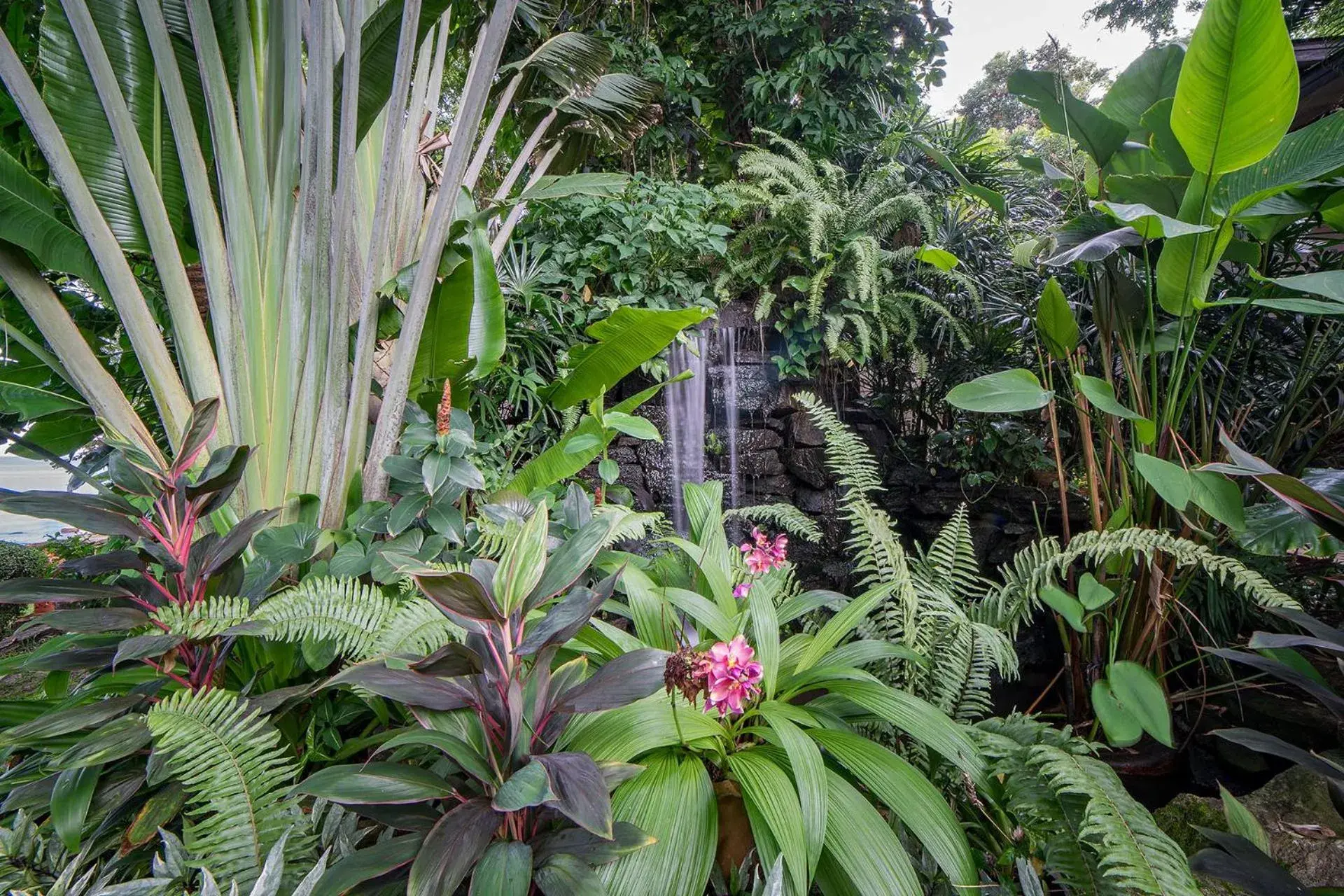 Garden view in Samed Villa Resort Garden view in Samed Villa Resort