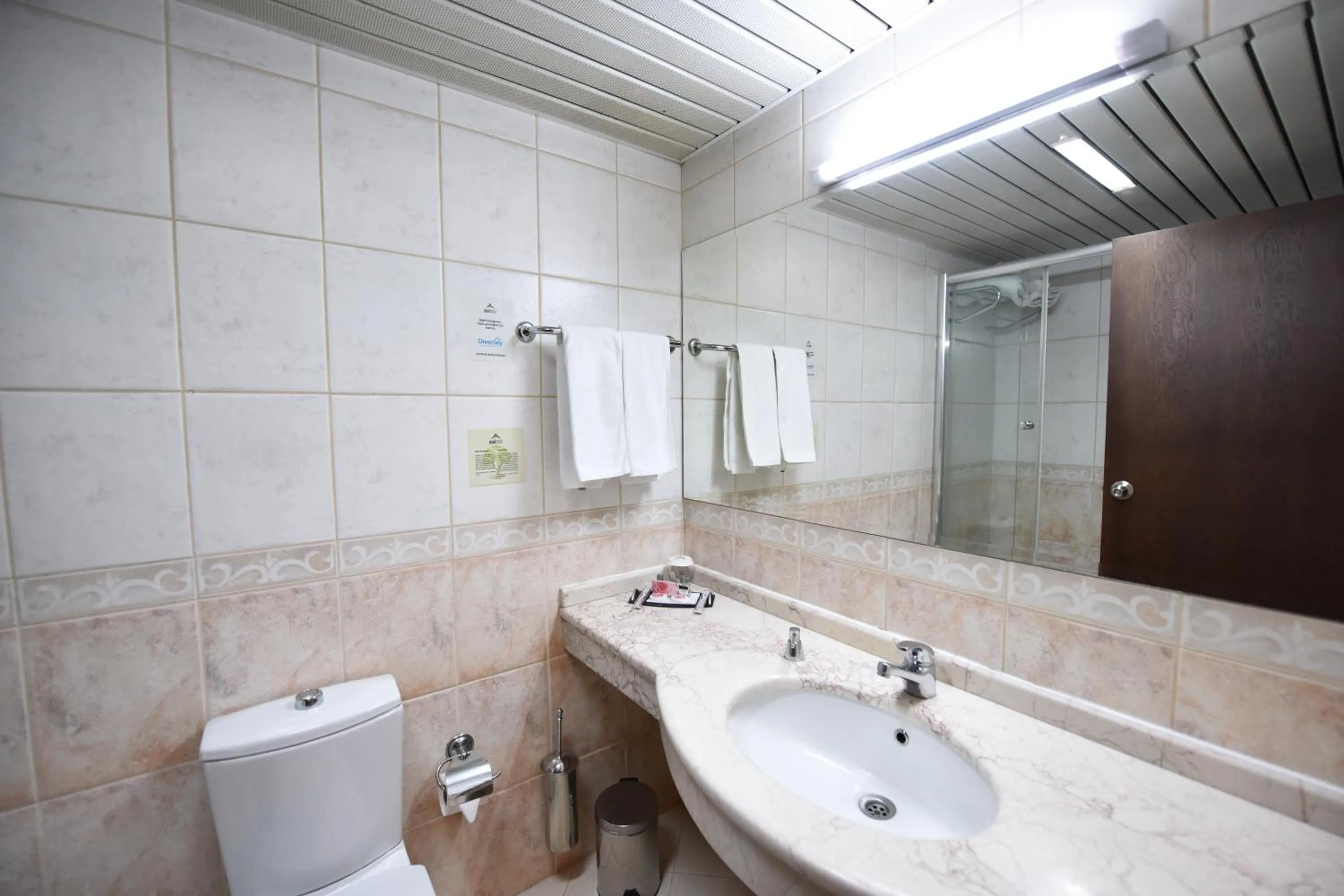 Shower in Asal Hotel