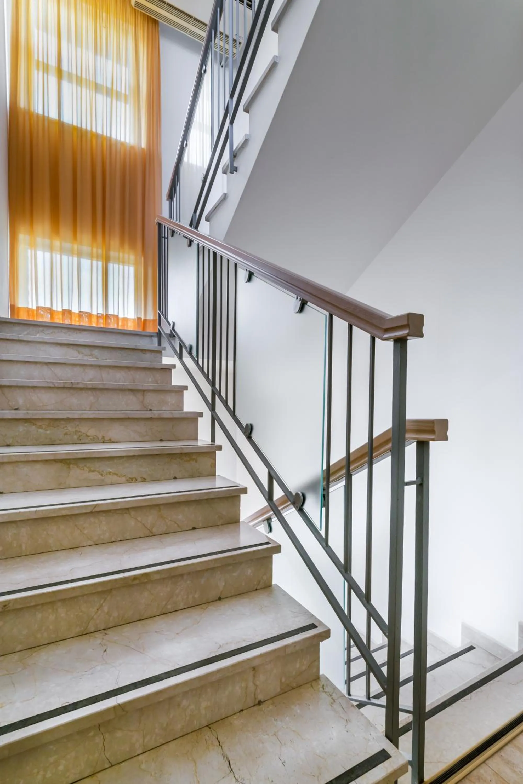 Area and facilities in Hotel Stresa