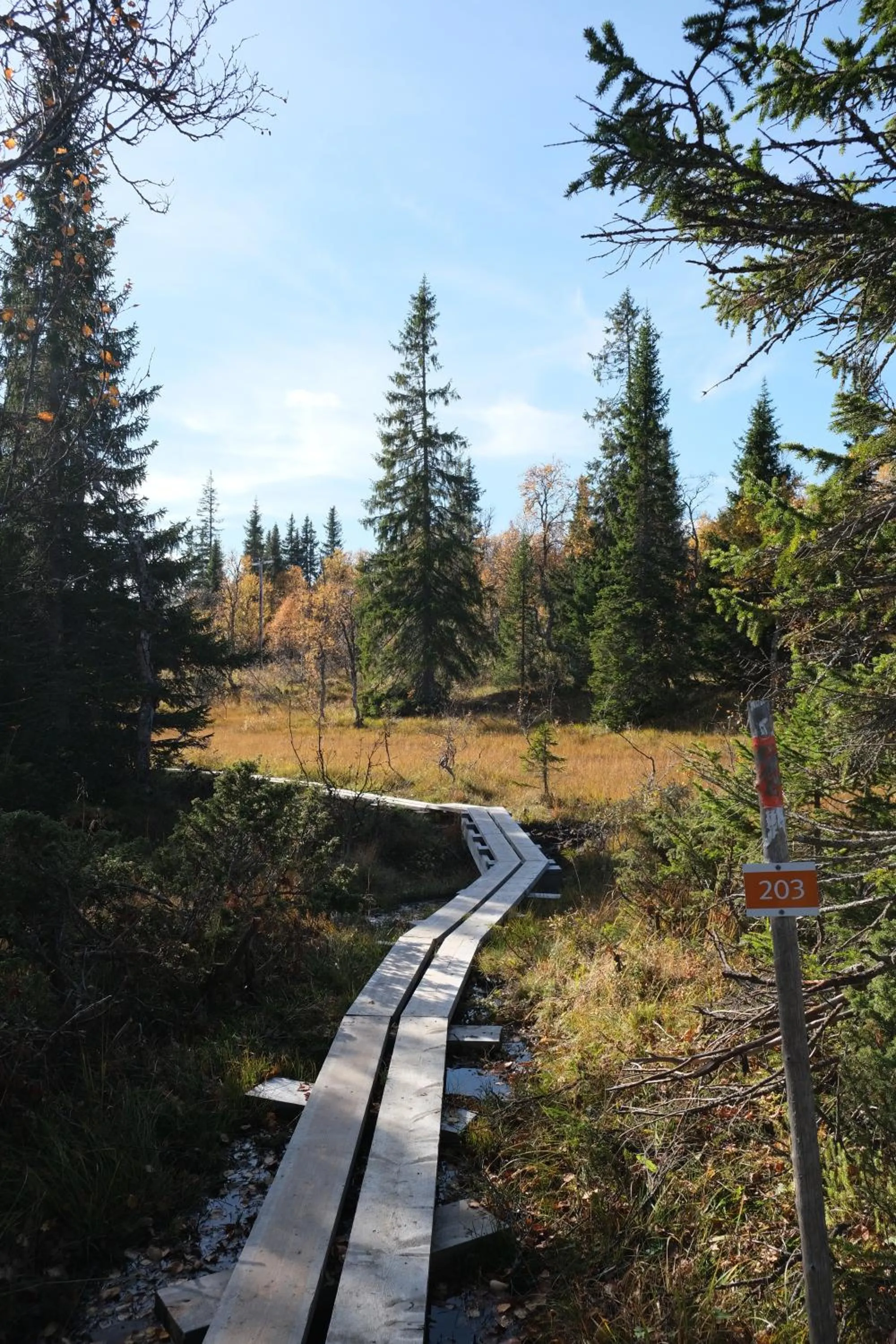 Pensionat Mullfjället