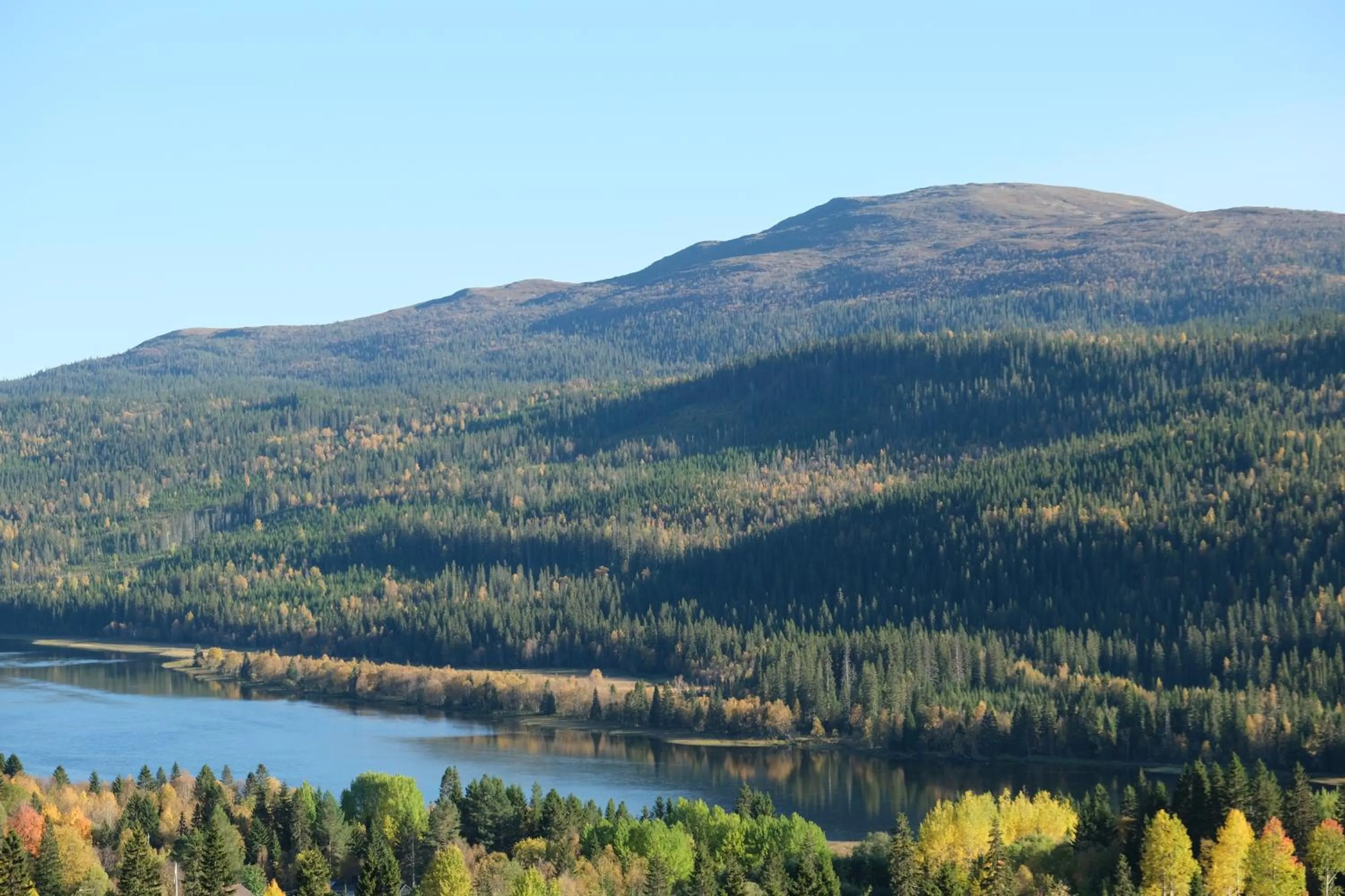 Pensionat Mullfjället