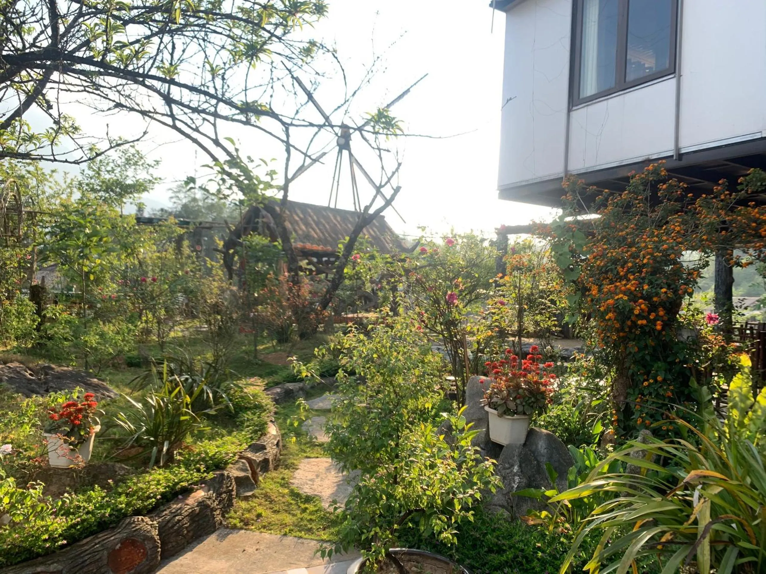 Homestay Discovery Sapa