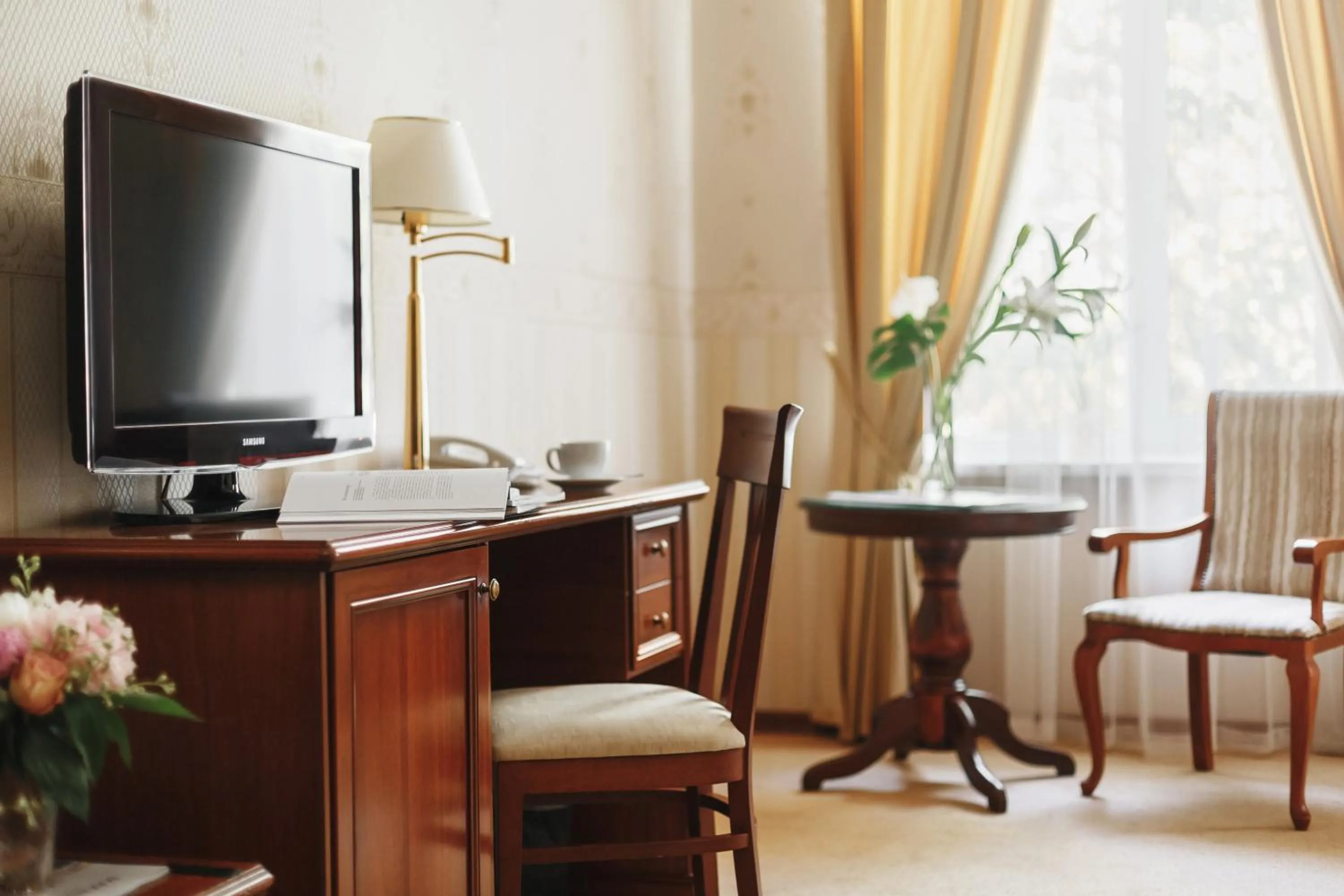 TV and multimedia in Continental Hotel