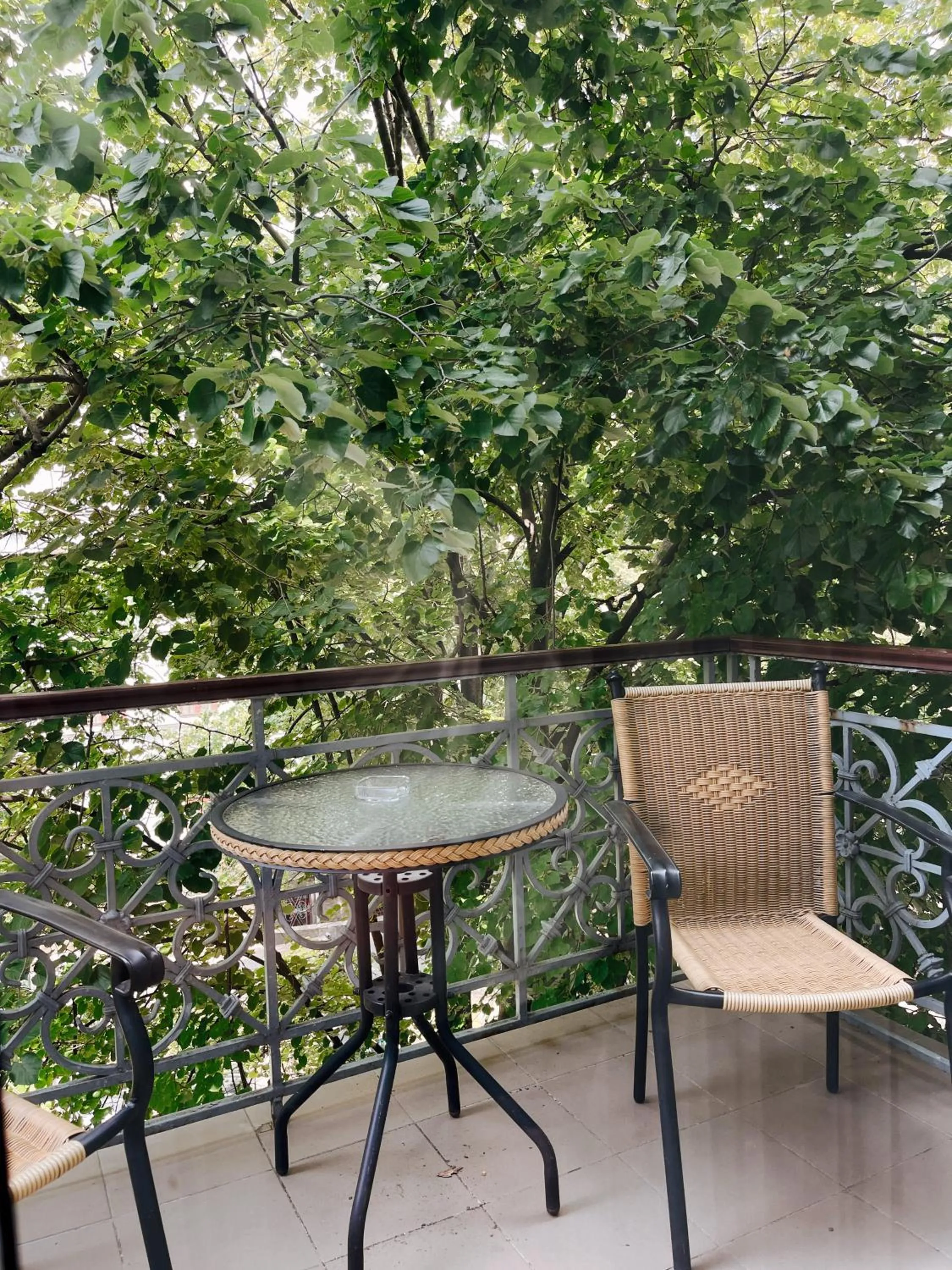 Spring in Continental Hotel