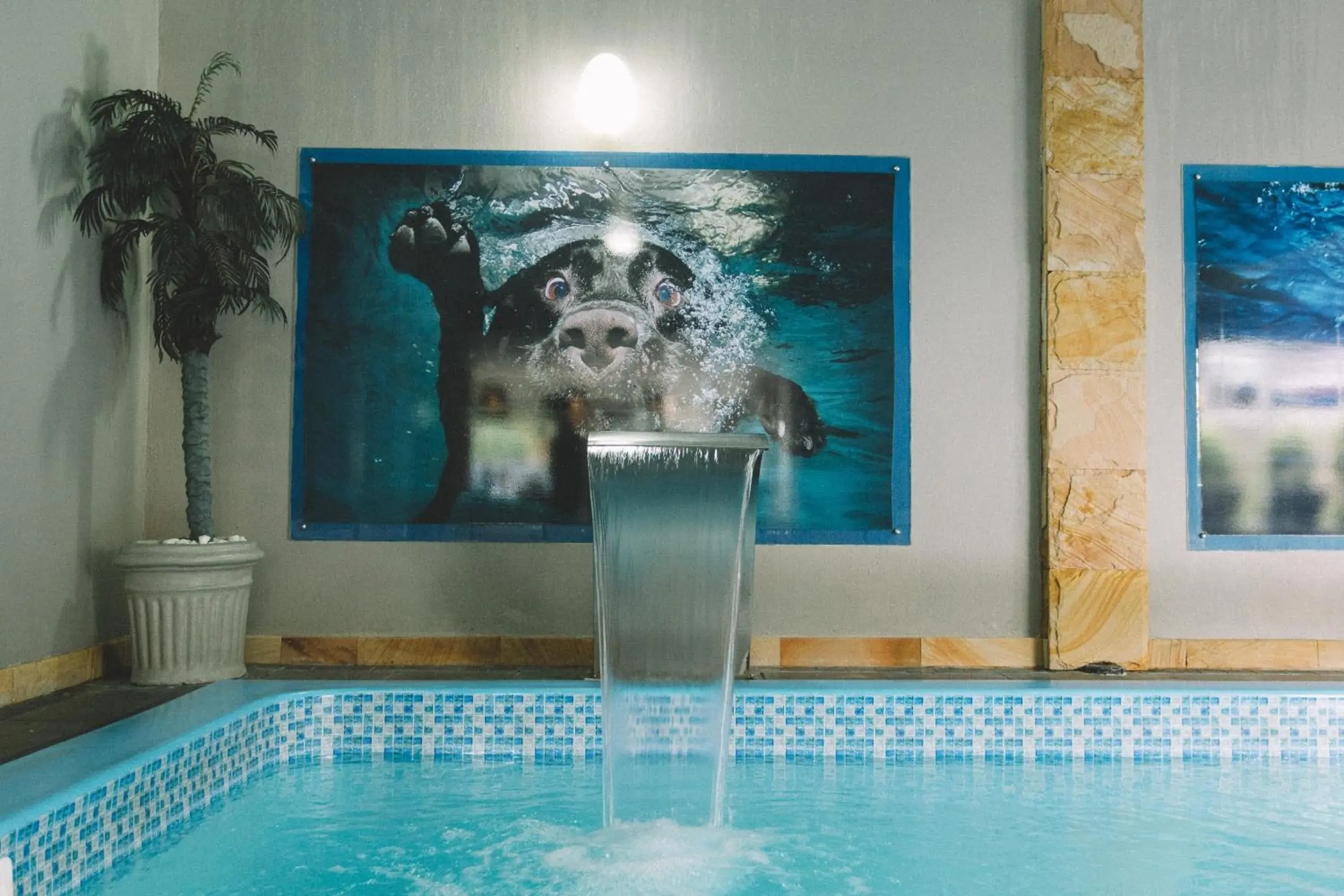 Swimming pool in Sky Centro Hotel & SPA Swimming pool in Sky Centro Hotel & SPA