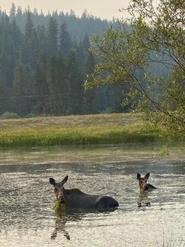 Natural landscape in The Lodge at Lolo Hot Springs