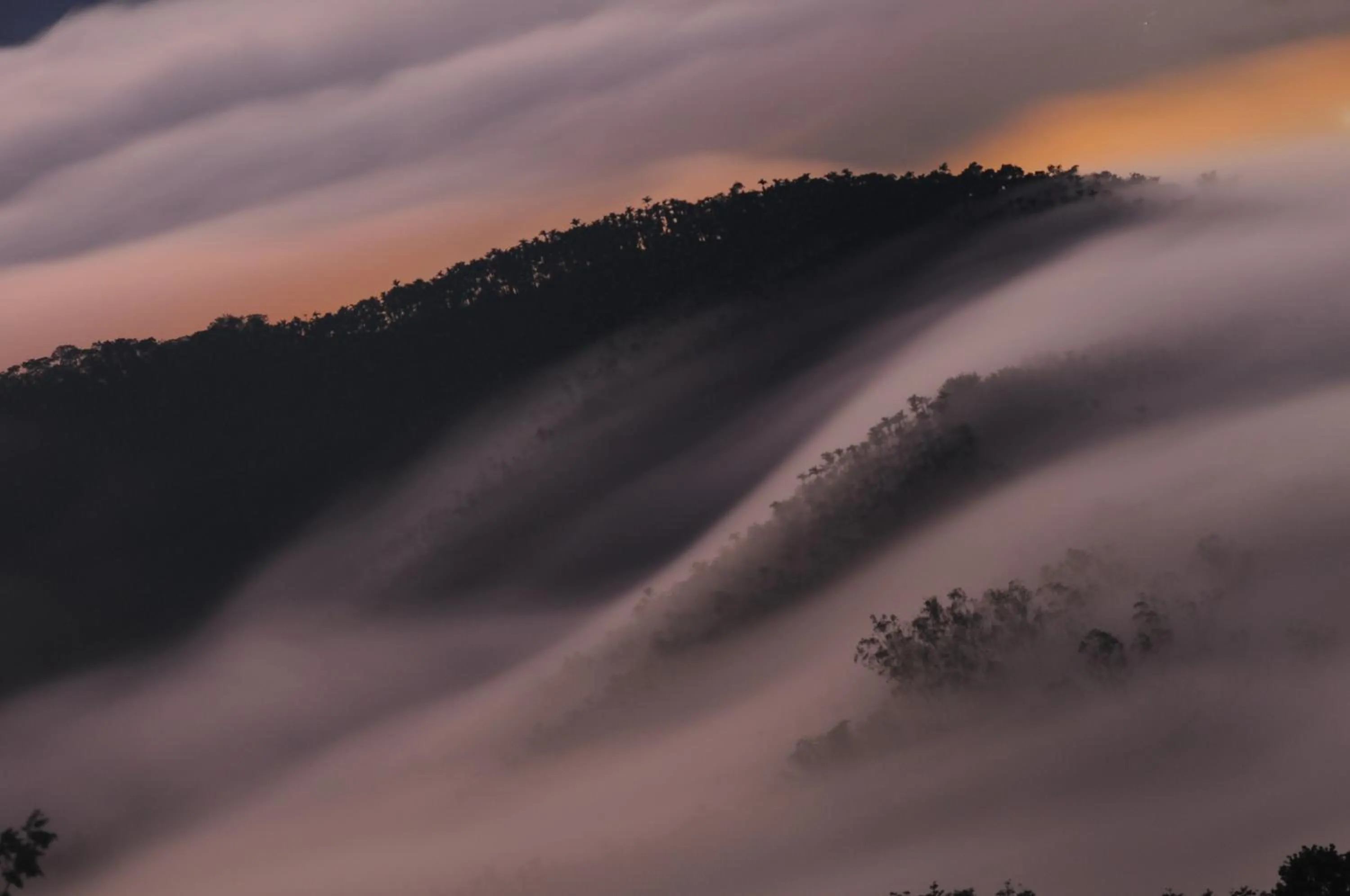 Natural landscape in Sun Moon Lake Jinlongshan BnB