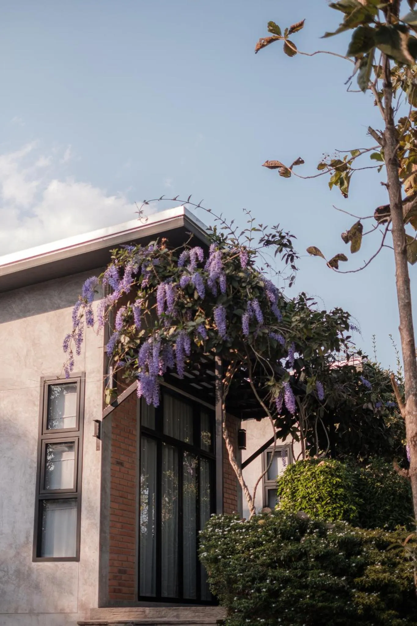 Property building in Casa Foresta Nan