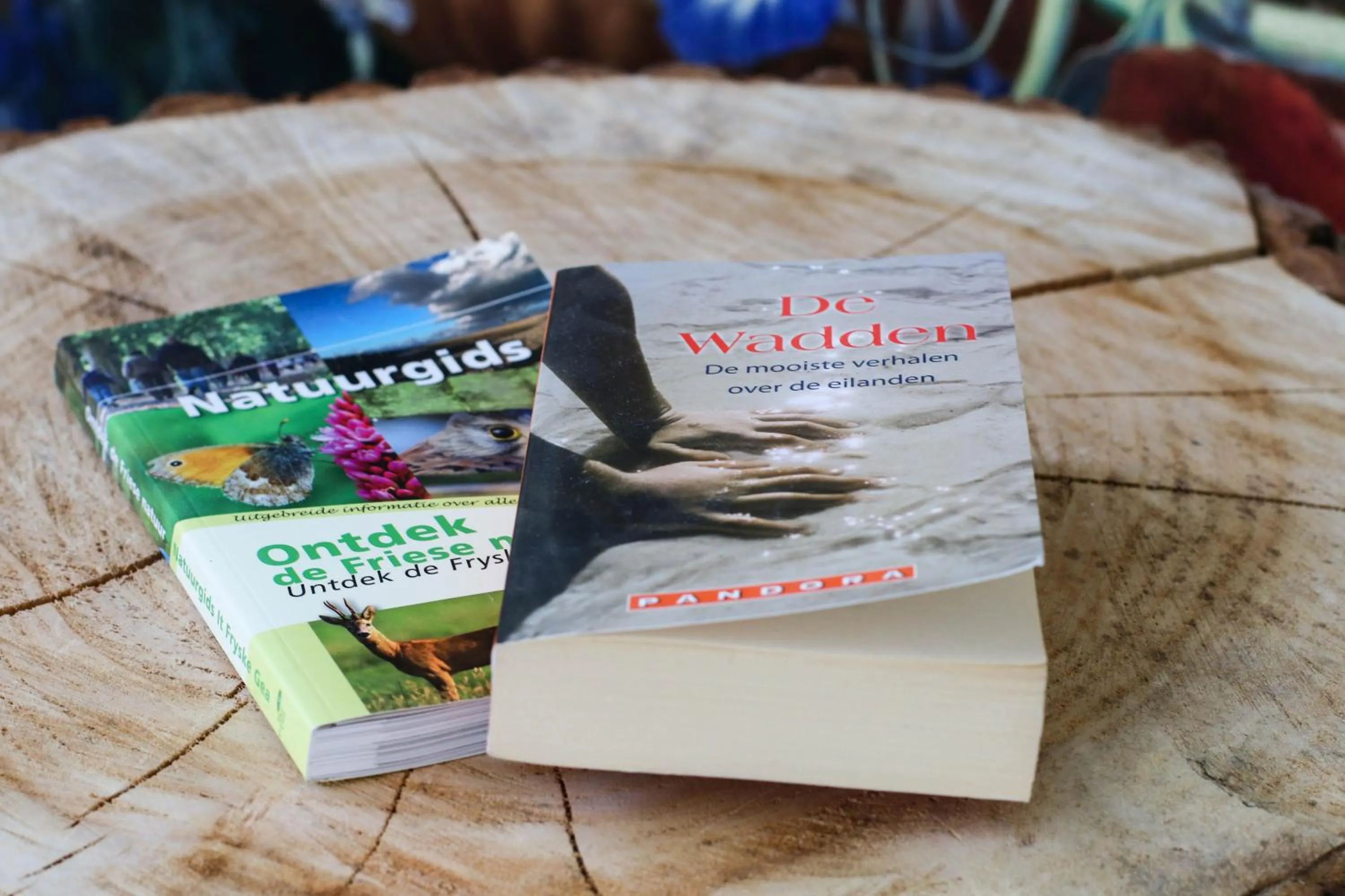 Decorative detail in Logement Nij Bonga Holwerd