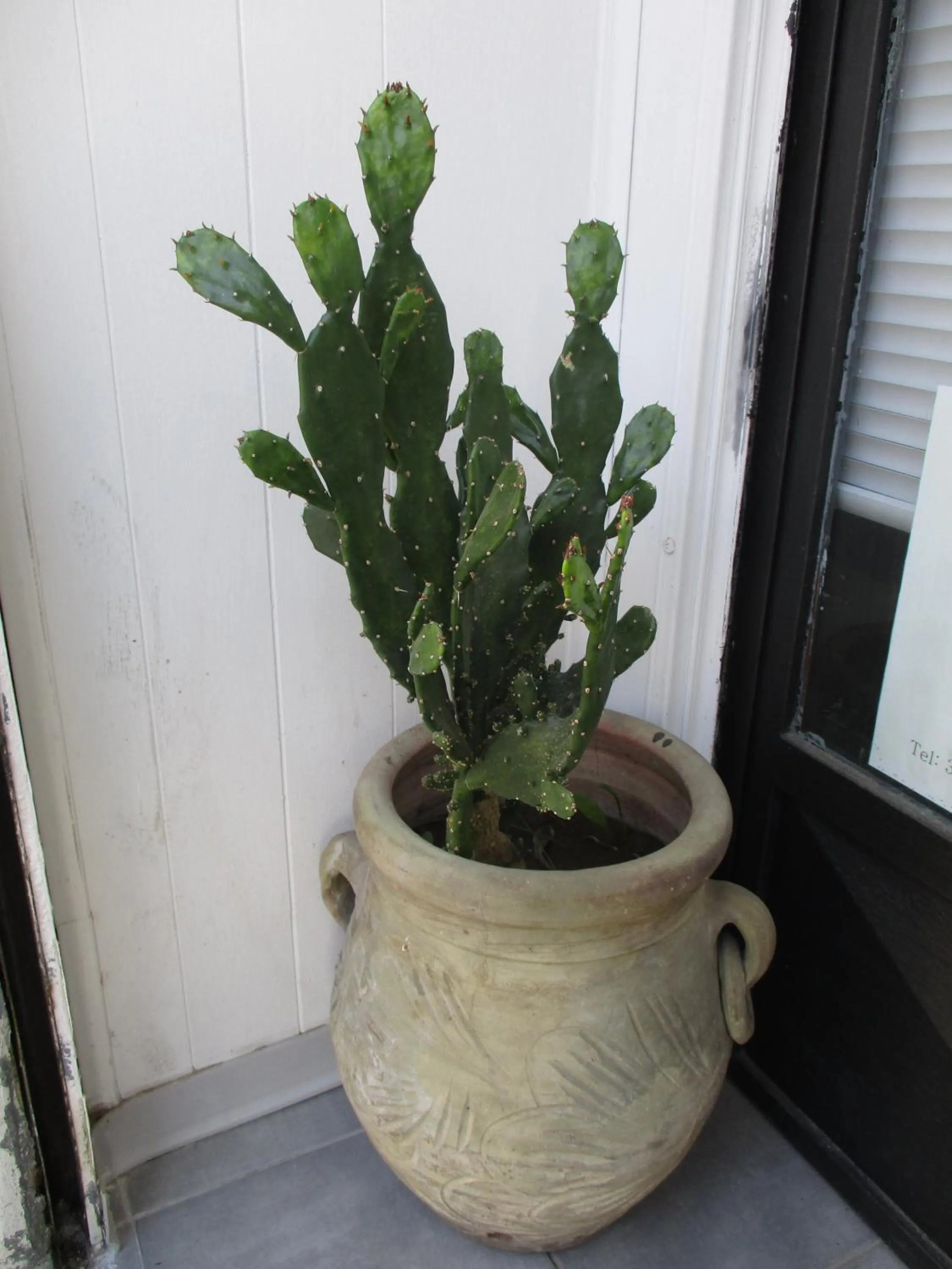 Property building in Palazzo Ruisi