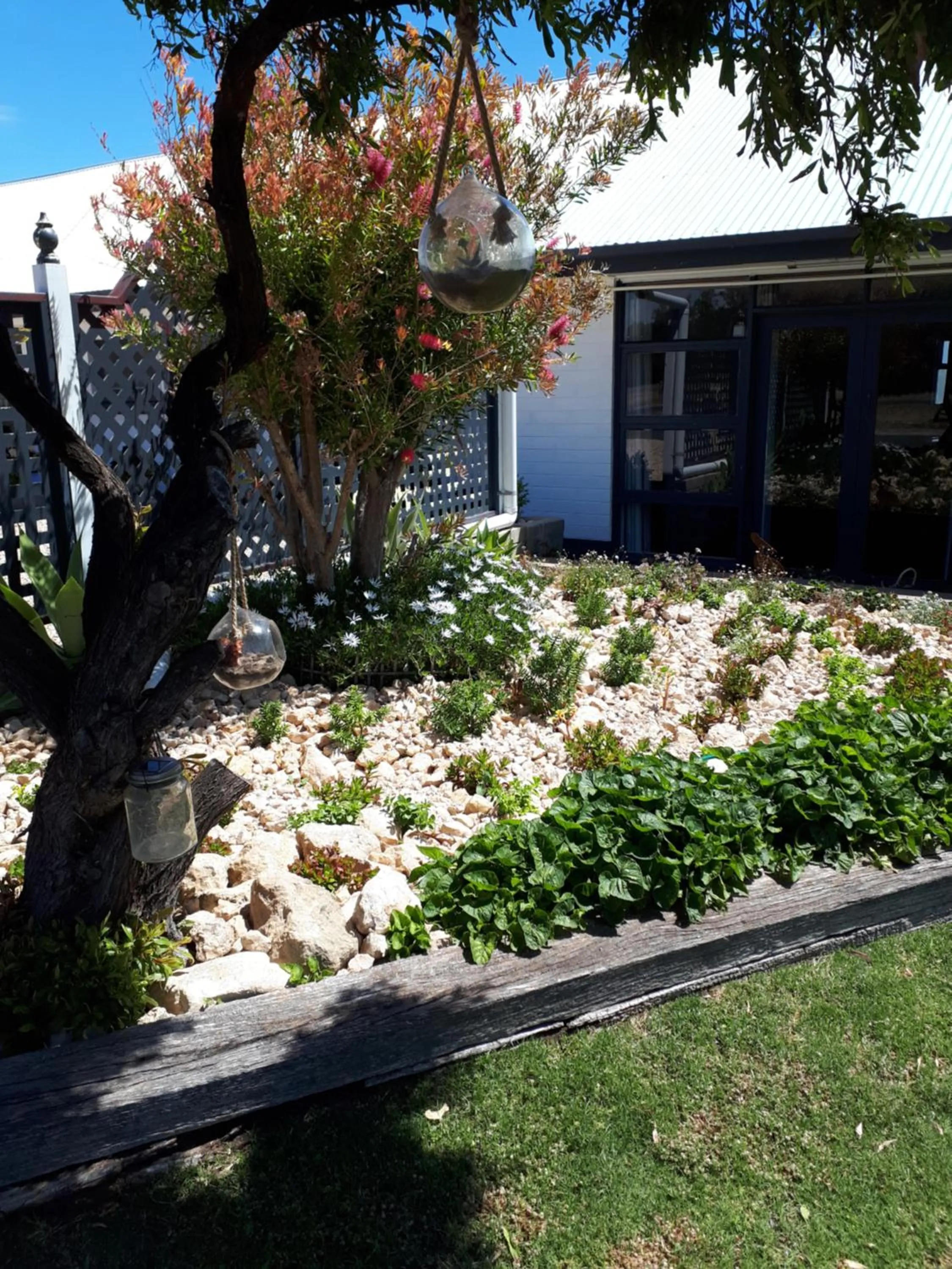 Garden in Meningie Waterfront Motel