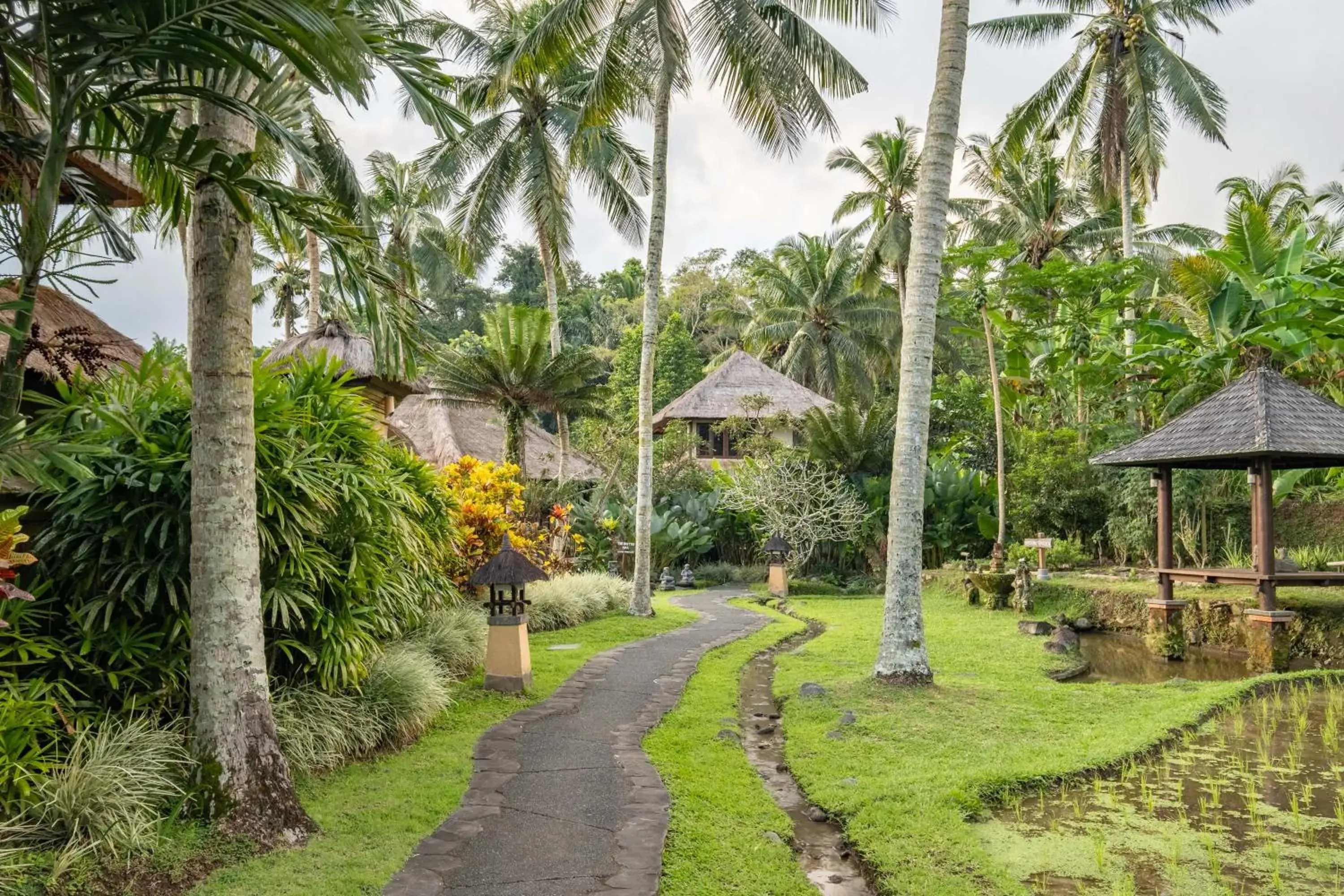 Garden view in Villa Semana Resort Ubud Garden view in Villa Semana Resort Ubud