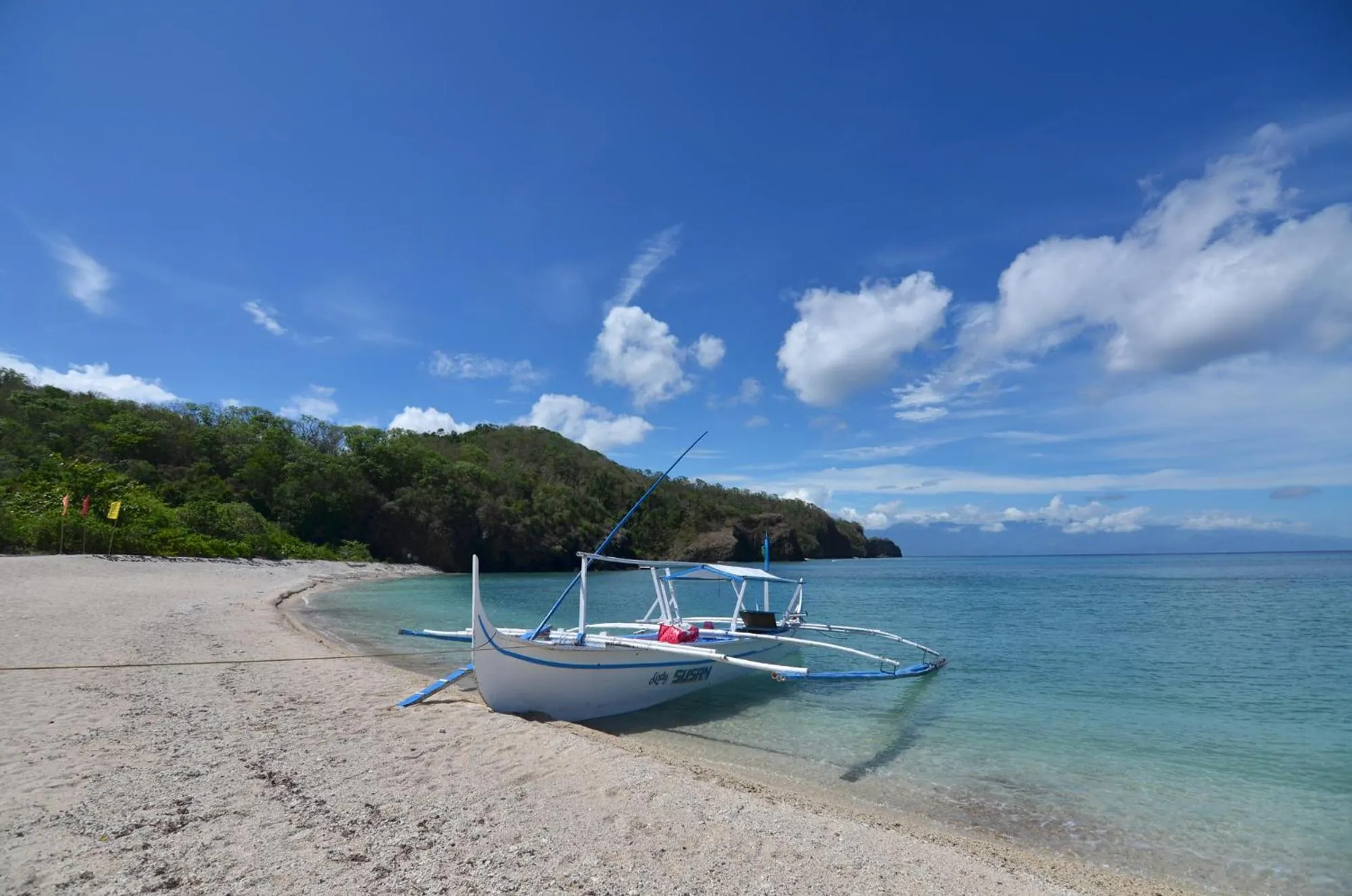 Beach in Eagle Point Beach and Dive Resort