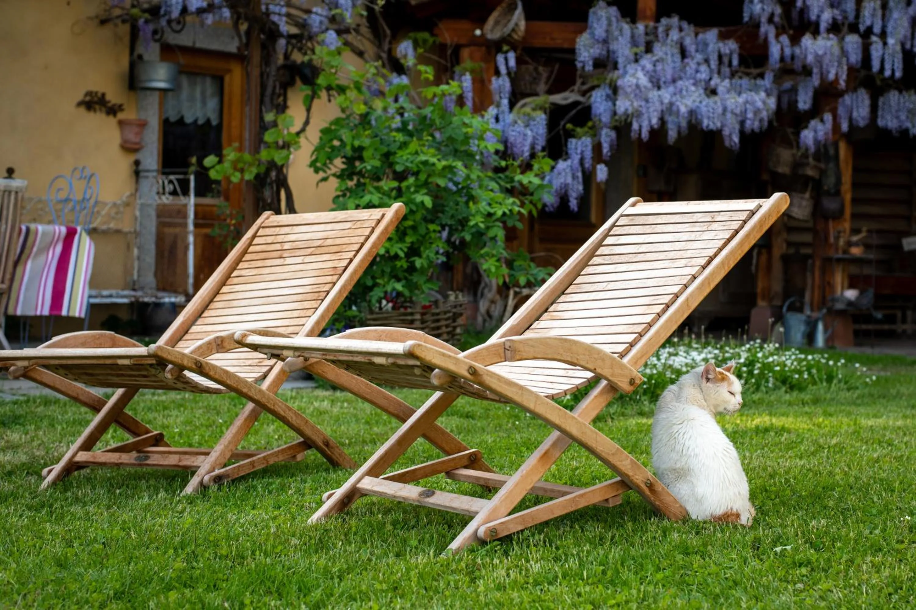Spring in La Grange d'Hannah - gîte & chambre d’hôtes de charme