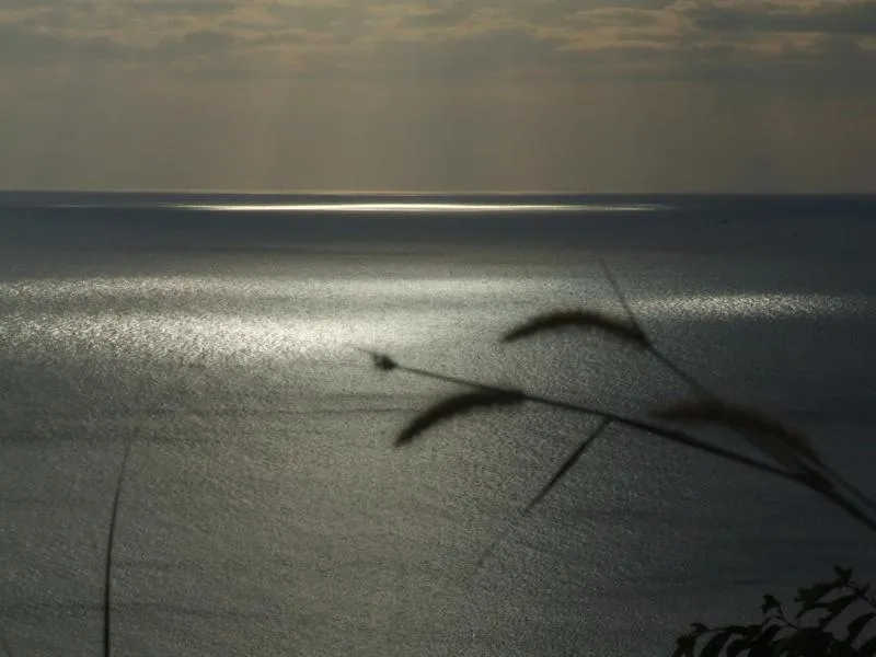 Other in Para Resort