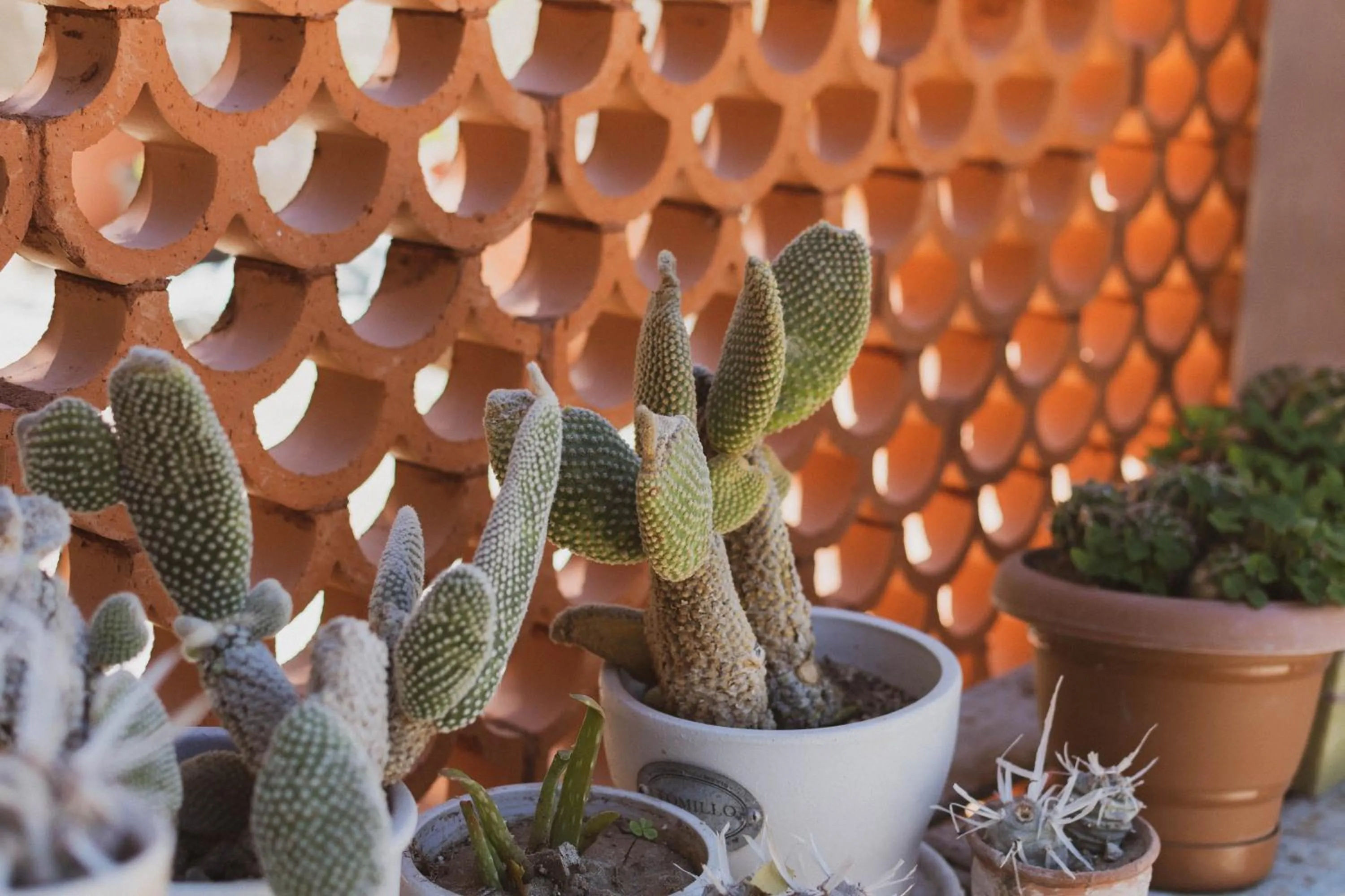 Balcony/Terrace in The Mantarraya Outpost
