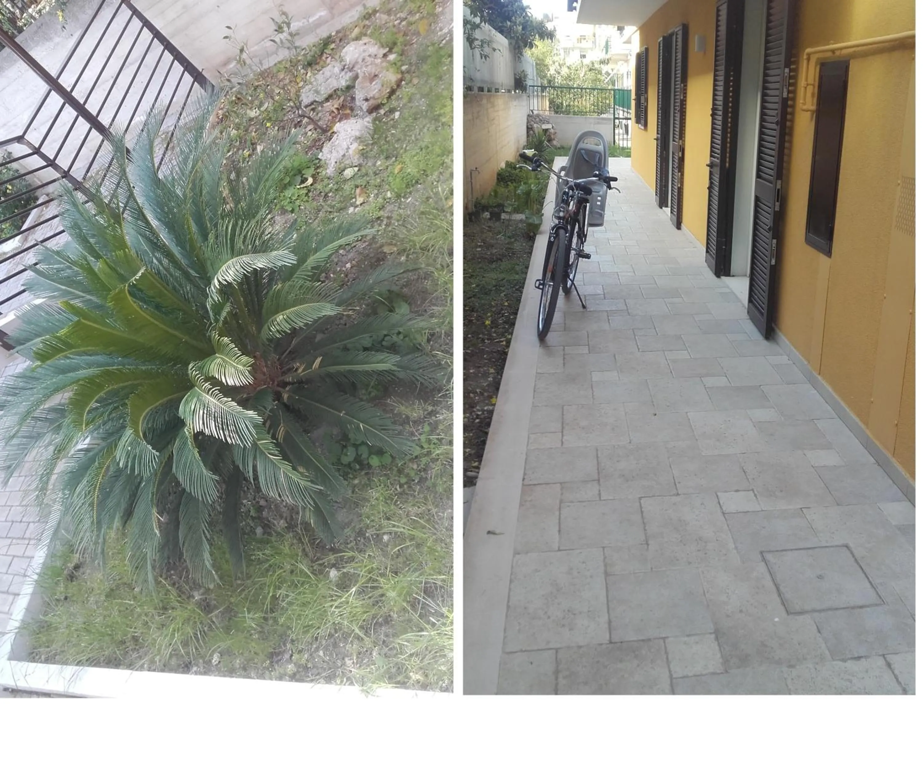 B&B la Palma