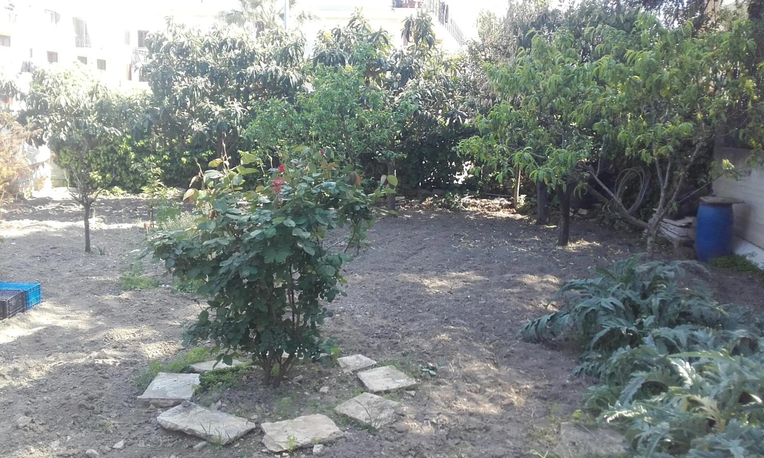 B&B la Palma