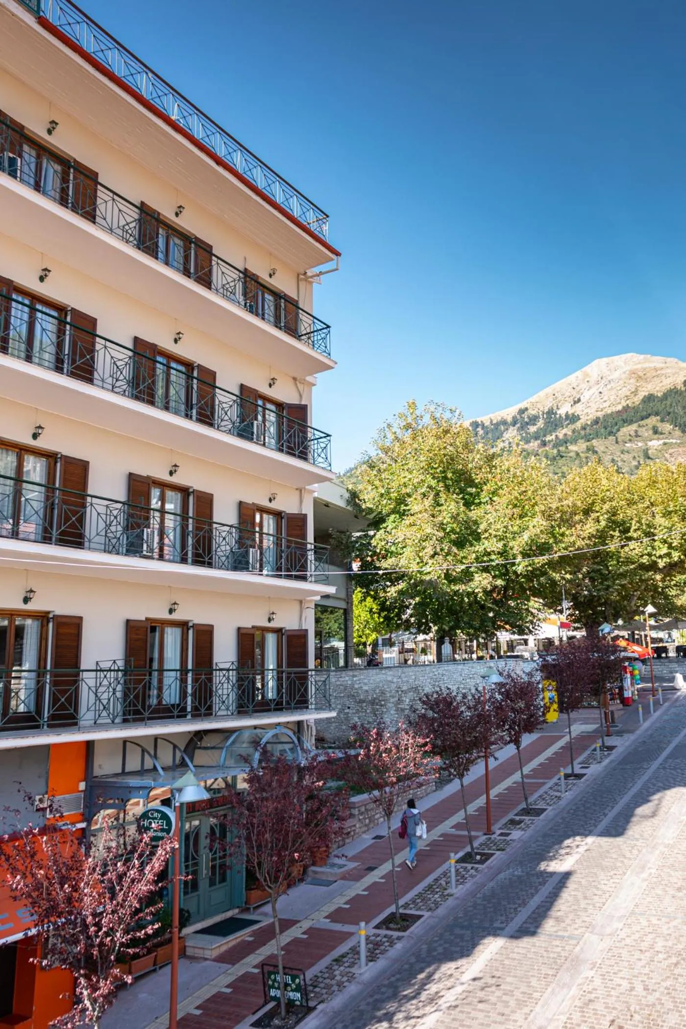 City Hotel Apollonion