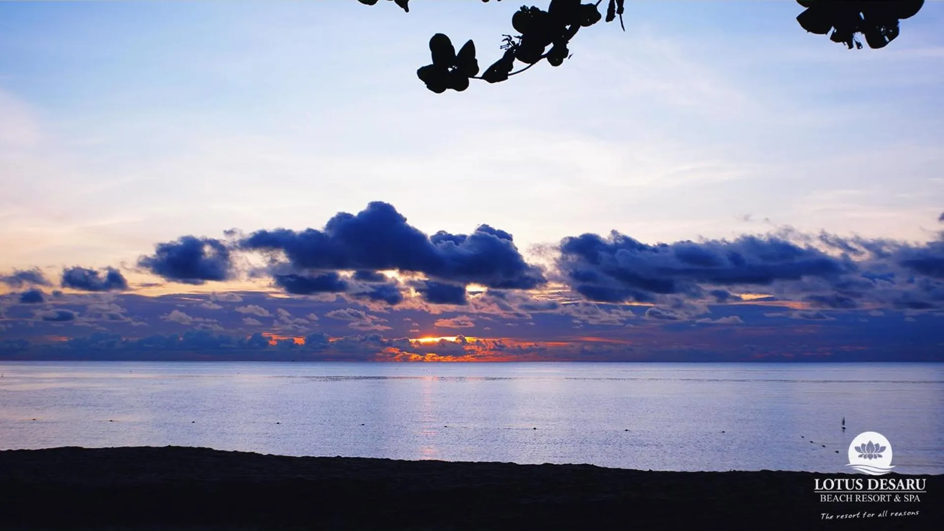 Beach in Lotus Desaru Beach Resort & Spa