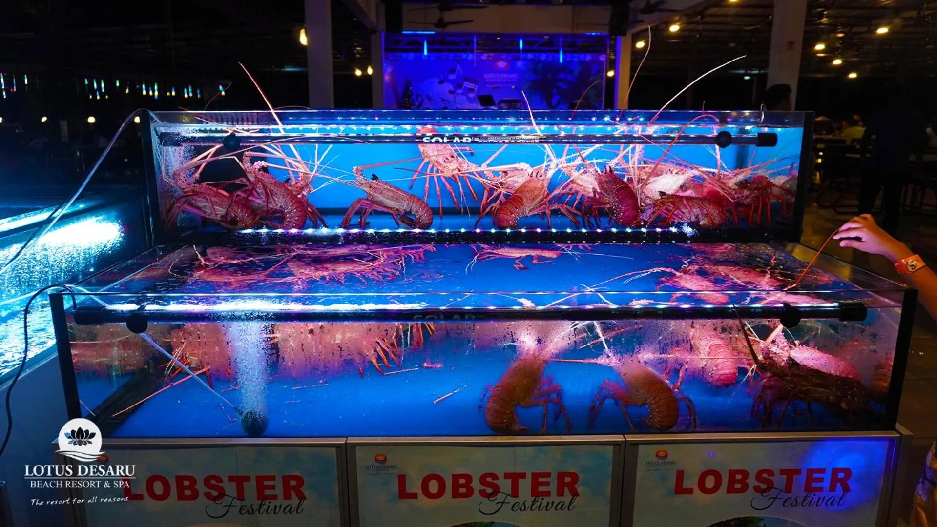 Restaurant/places to eat in Lotus Desaru Beach Resort & Spa