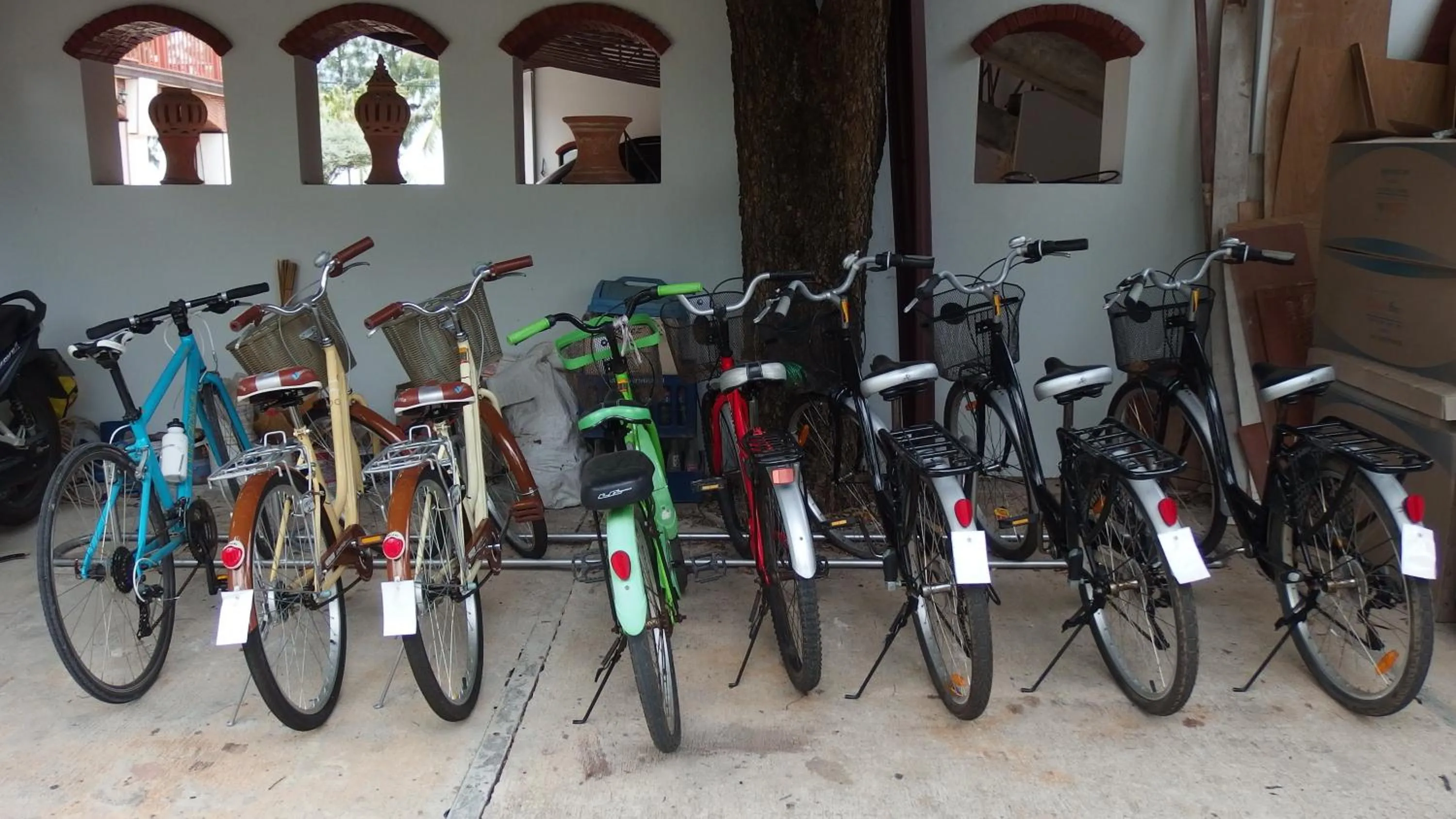 Cycling in Palm Beach Resort