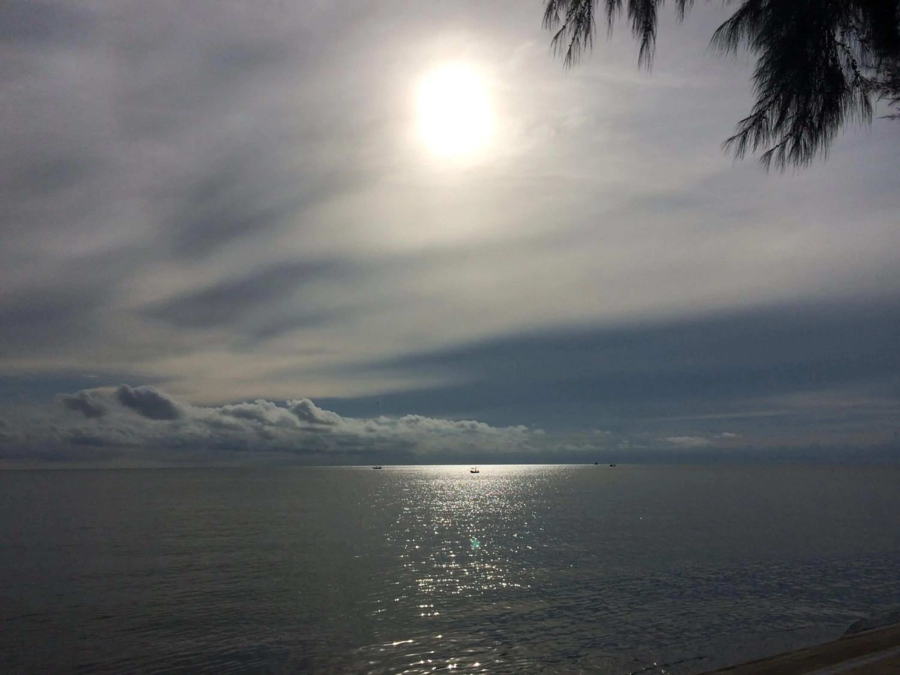 Day in Palm Beach Resort