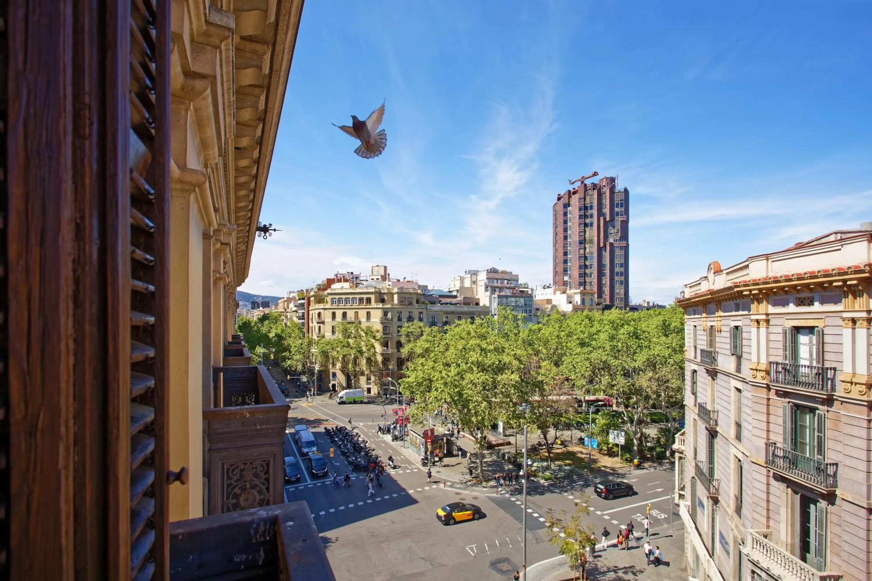 View (from property/room) in Fontanella Green House