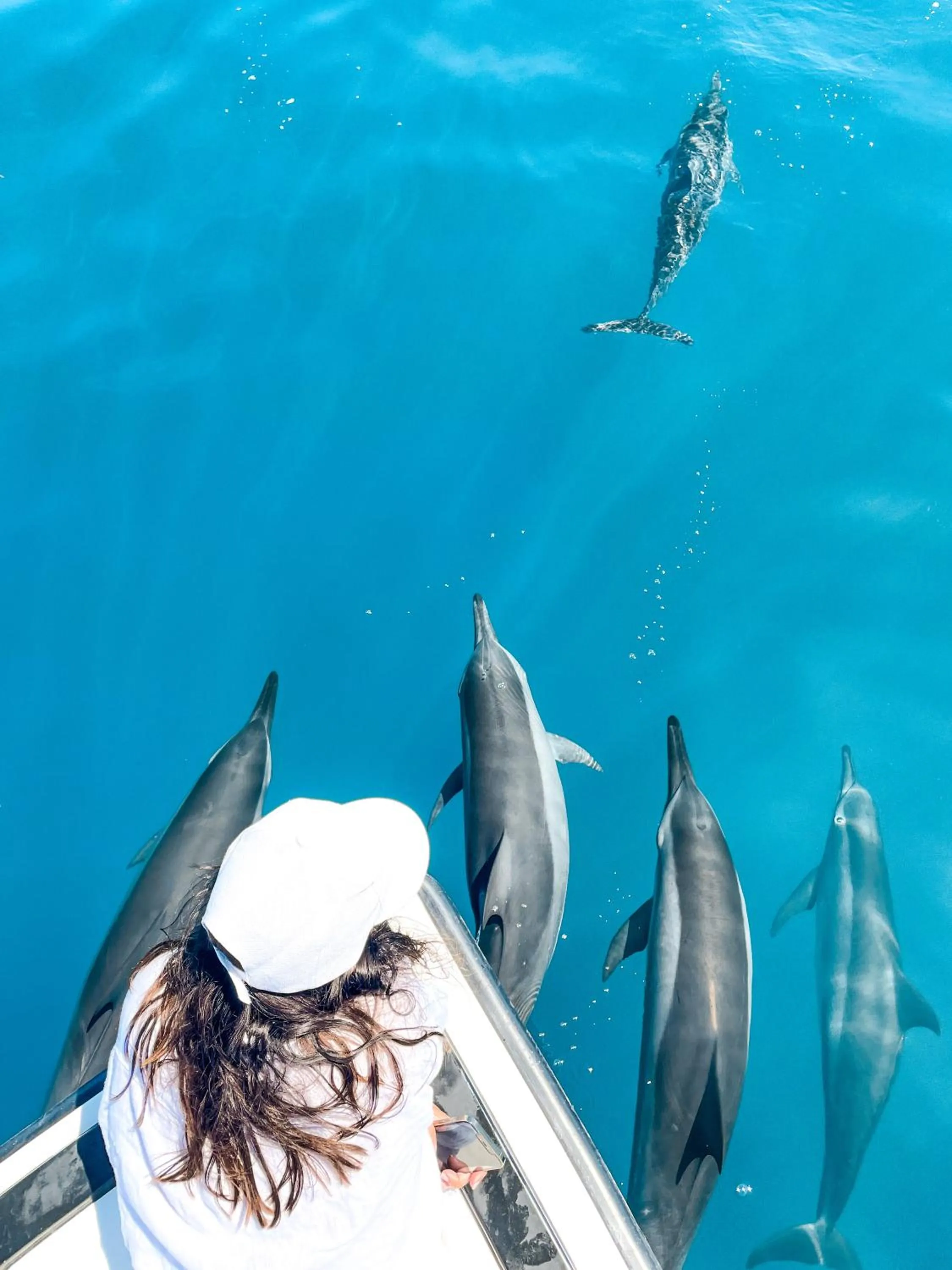 Activities in Araamu Hotels Maldives at Dhiffushi