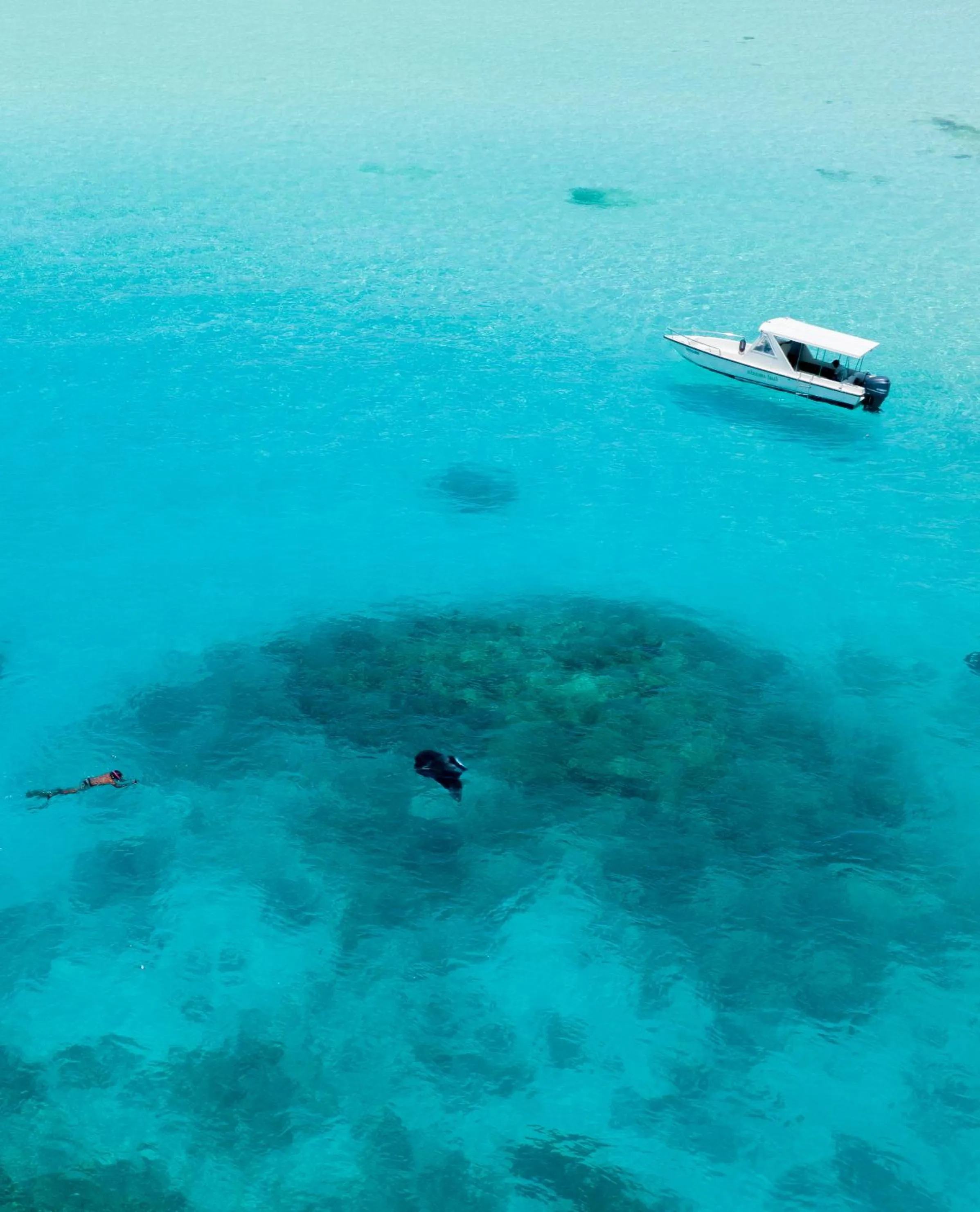 Activities in Araamu Hotels Maldives at Dhiffushi