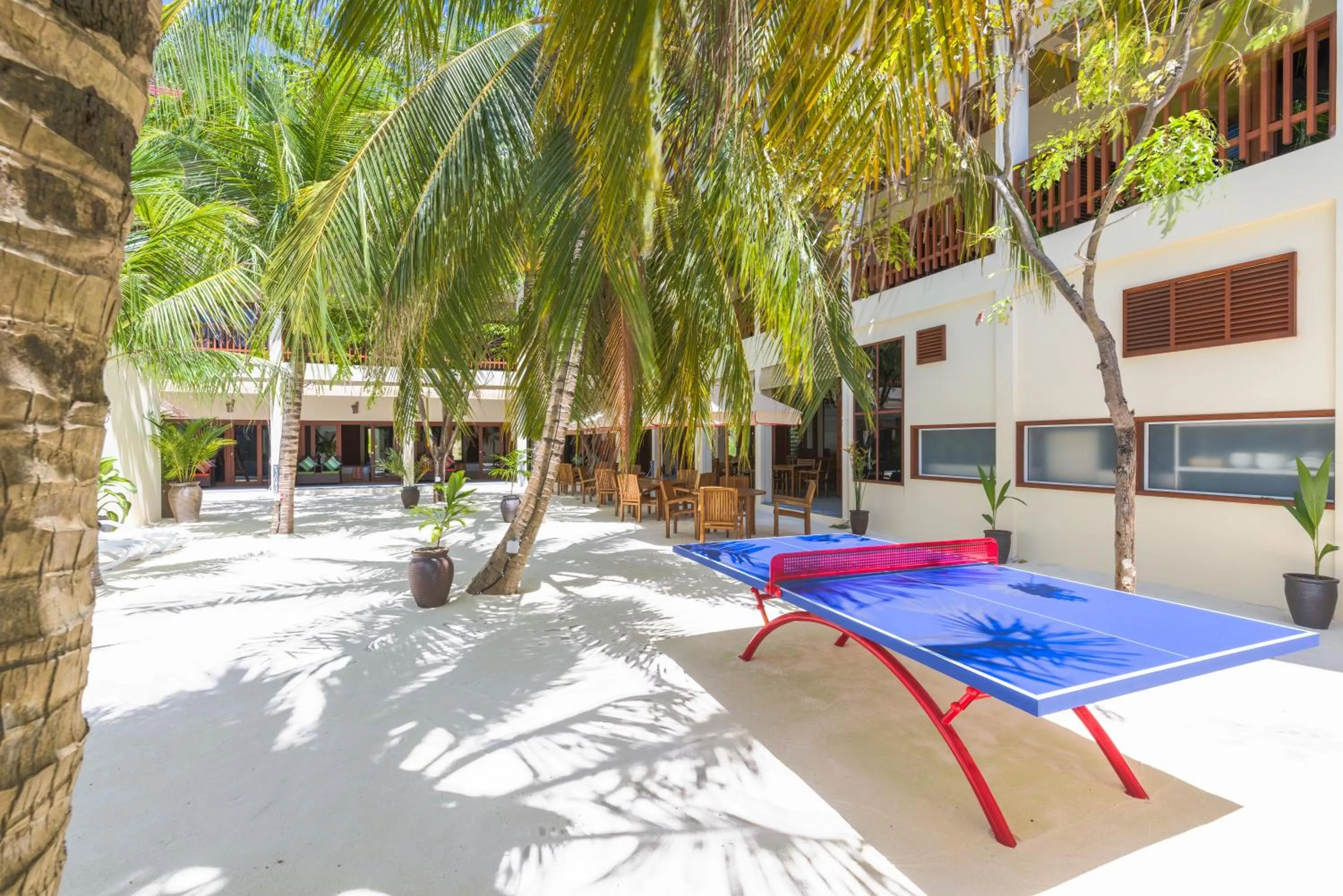 Activities in Araamu Hotels Maldives at Dhiffushi