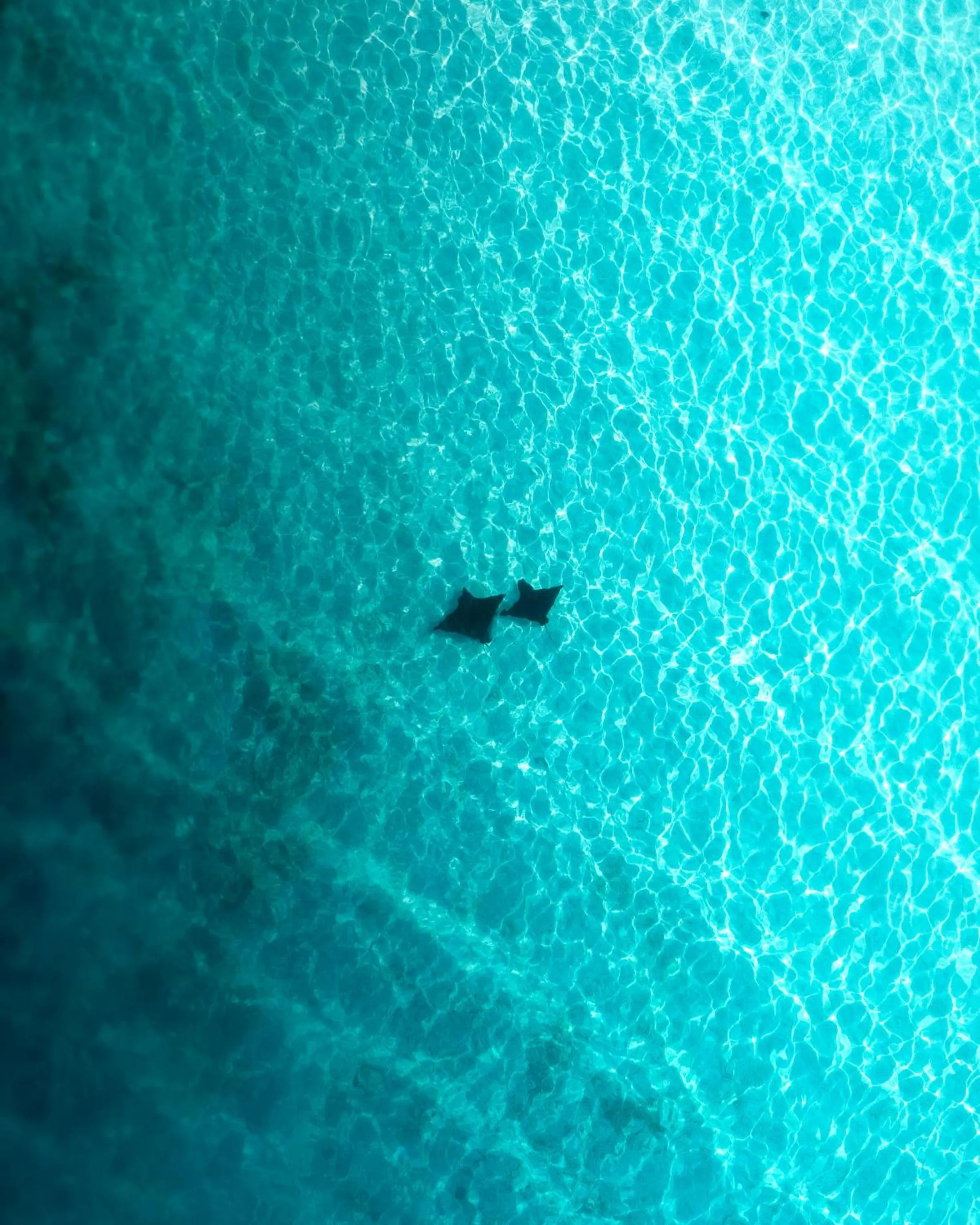 Natural landscape in Araamu Hotels Maldives at Dhiffushi