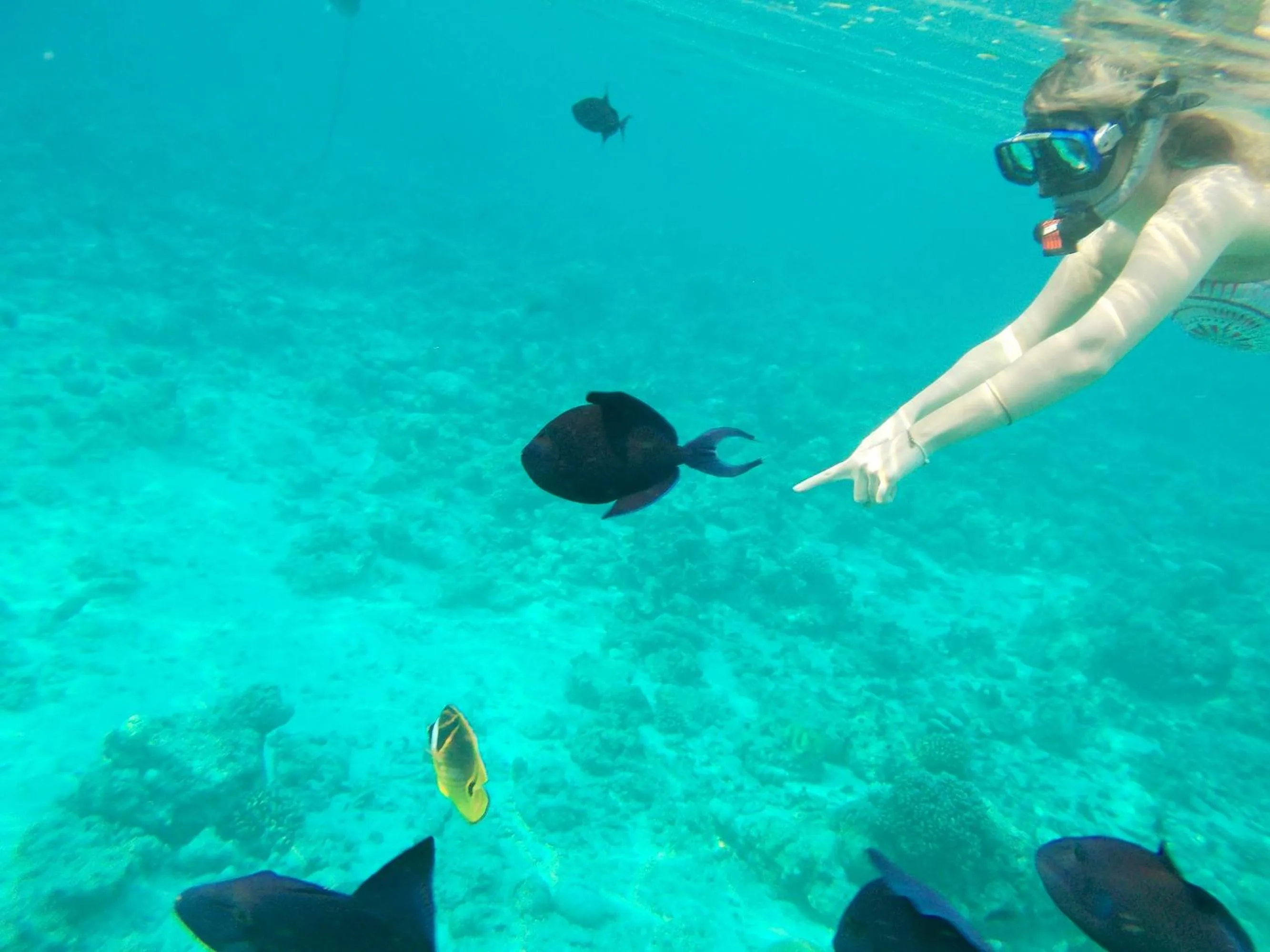 Day in Nala Veli Villa