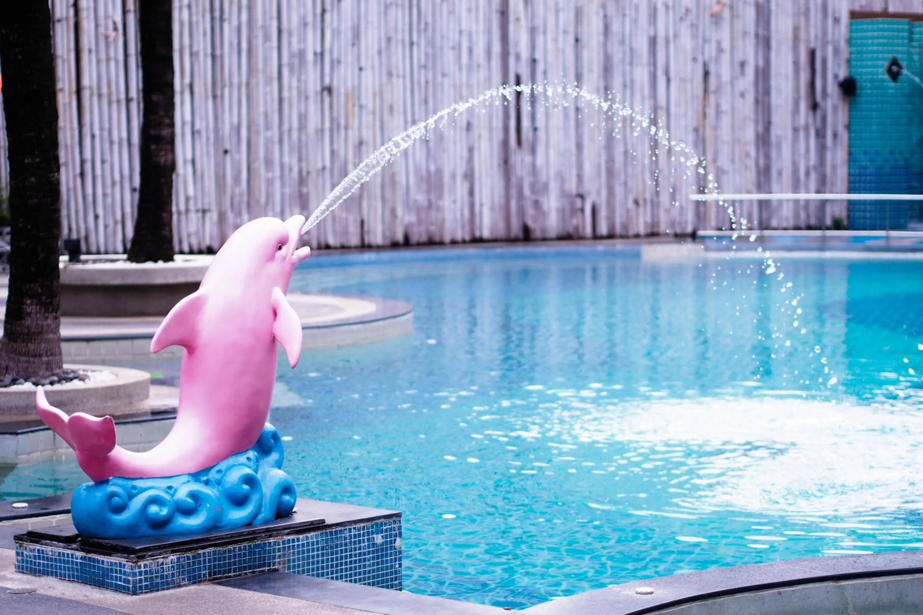 Day in The Beach Boutique House