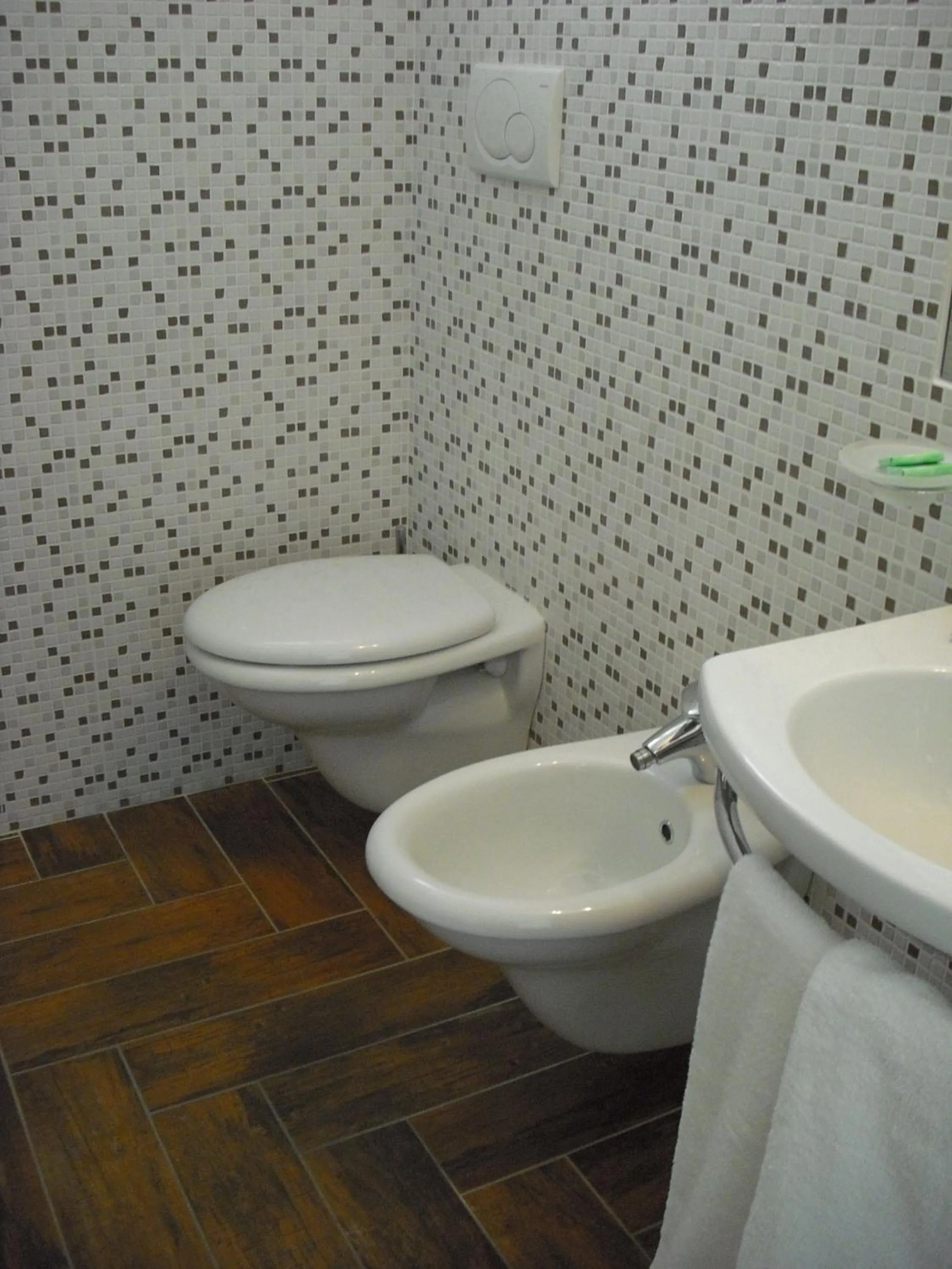 Toilet in Hotel Belmar